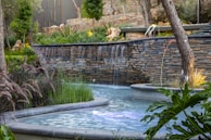 A peaceful garden with a natural water feature surrounded by native plants and stones.