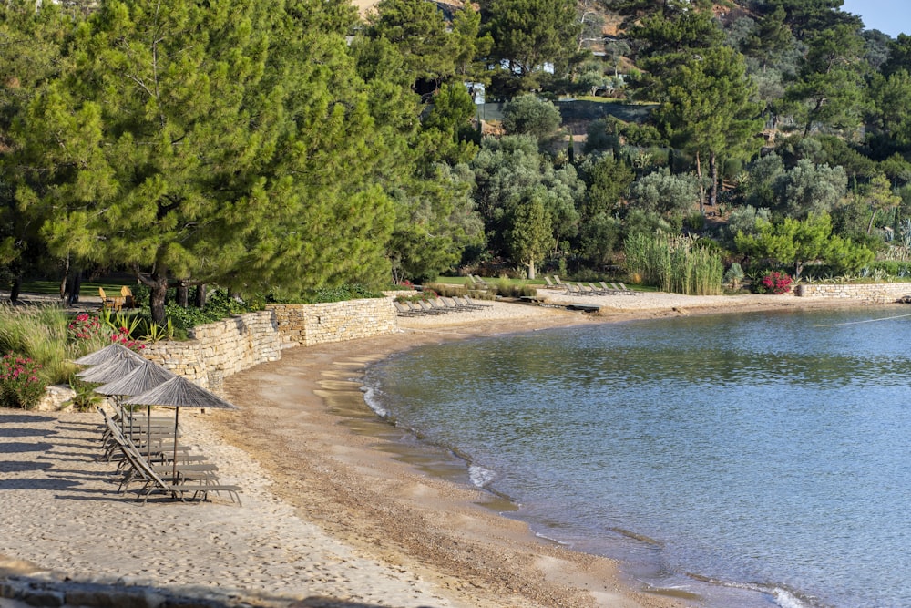 a sandy beach next to a body of water