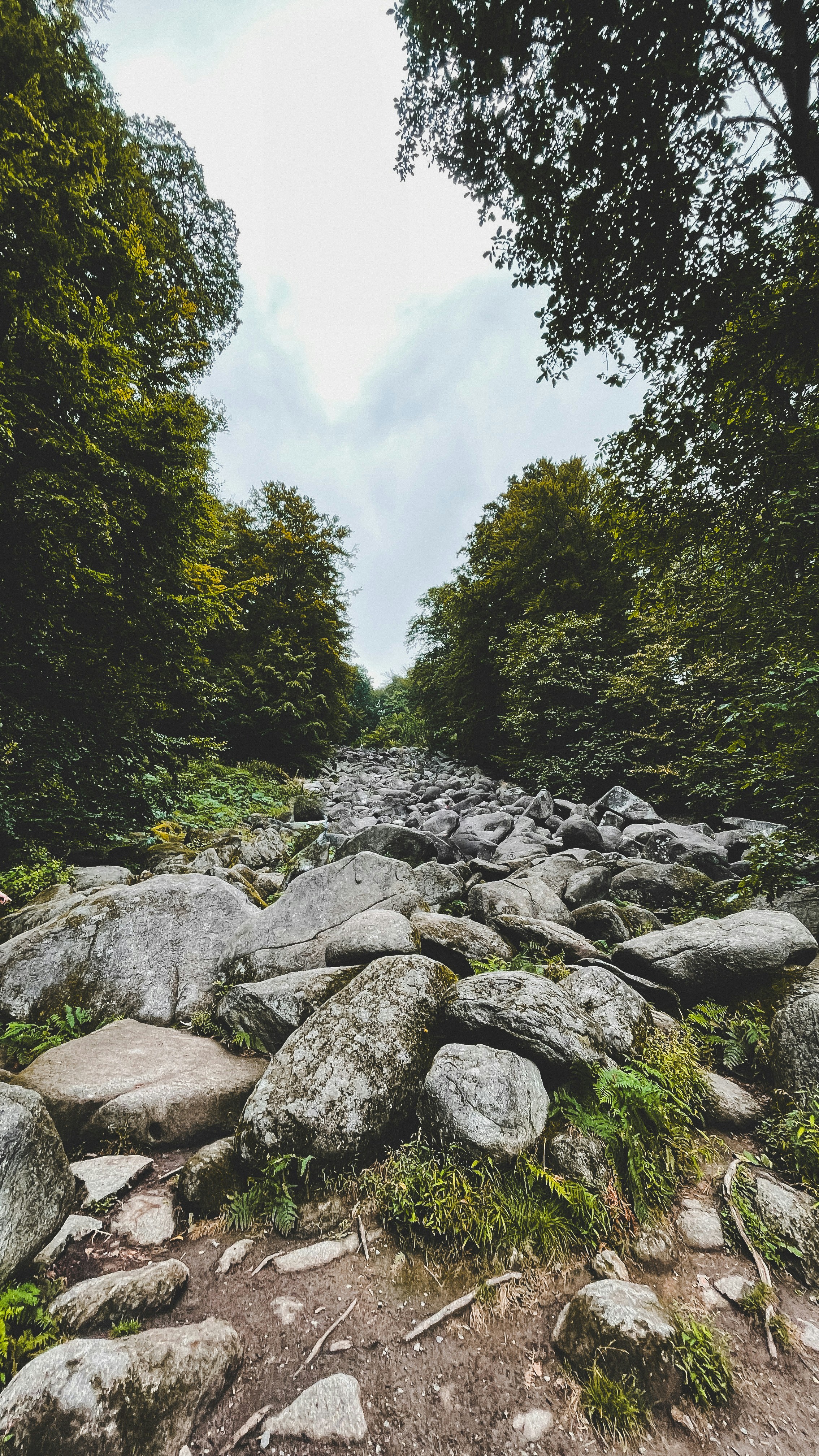 Photo by monsieur_maurice