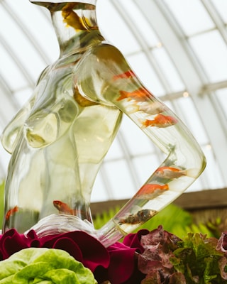 A glass sculpture shaped like a torso contains swimming goldfish inside. The sculpture is positioned among vibrant red fabric and lush green leaves, with a background of a softly lit glass ceiling.