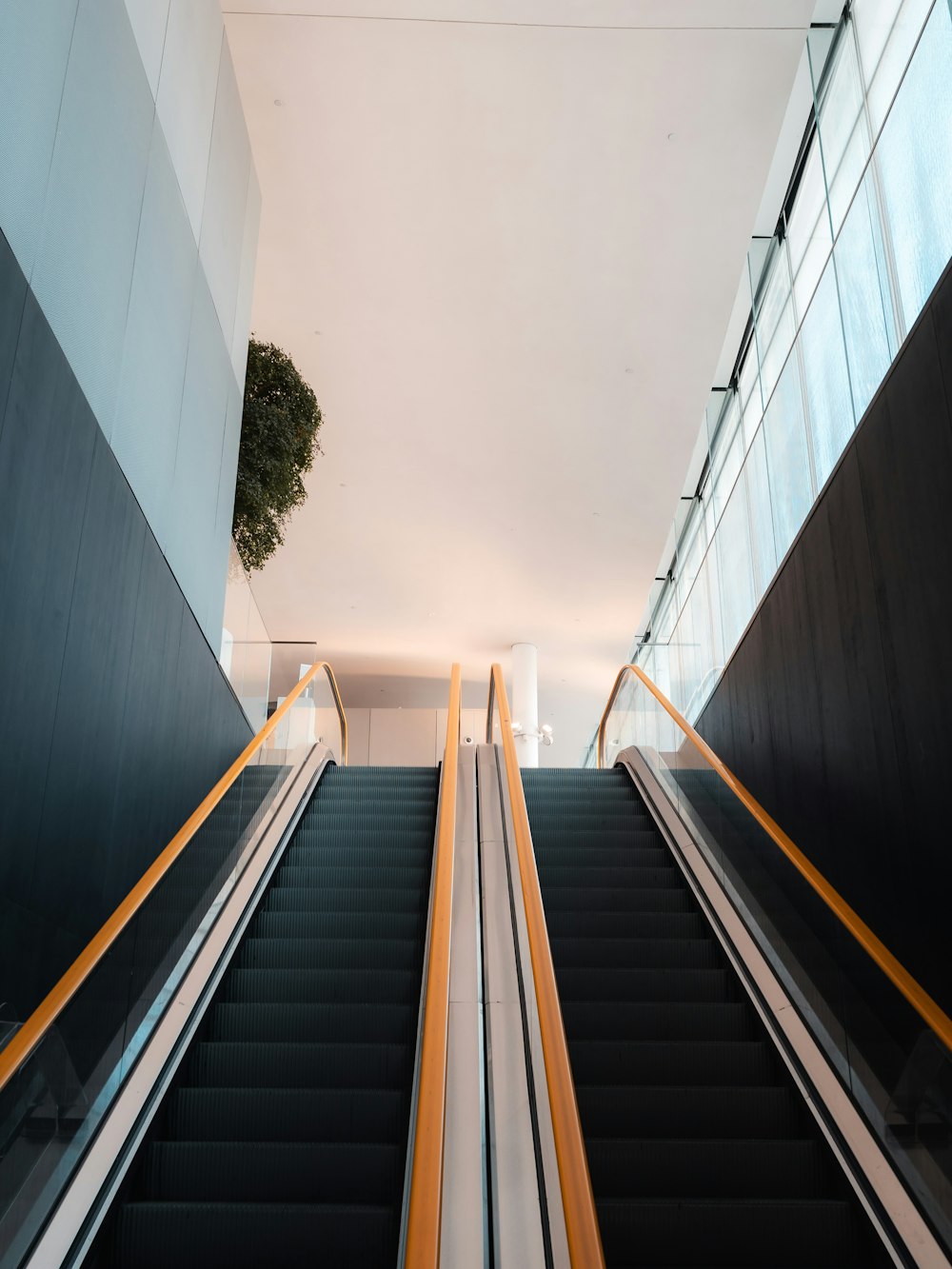 an escalator with a plant in the middle of it