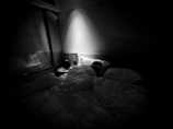 A dimly lit bedroom with a person sleeping under white blankets. A spotlight casts a focused beam of light on the sleeper's head, highlighting the calm and peaceful atmosphere. The room is mostly dark, adding to the serene and intimate ambiance.