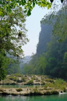 a body of water surrounded by lush green trees