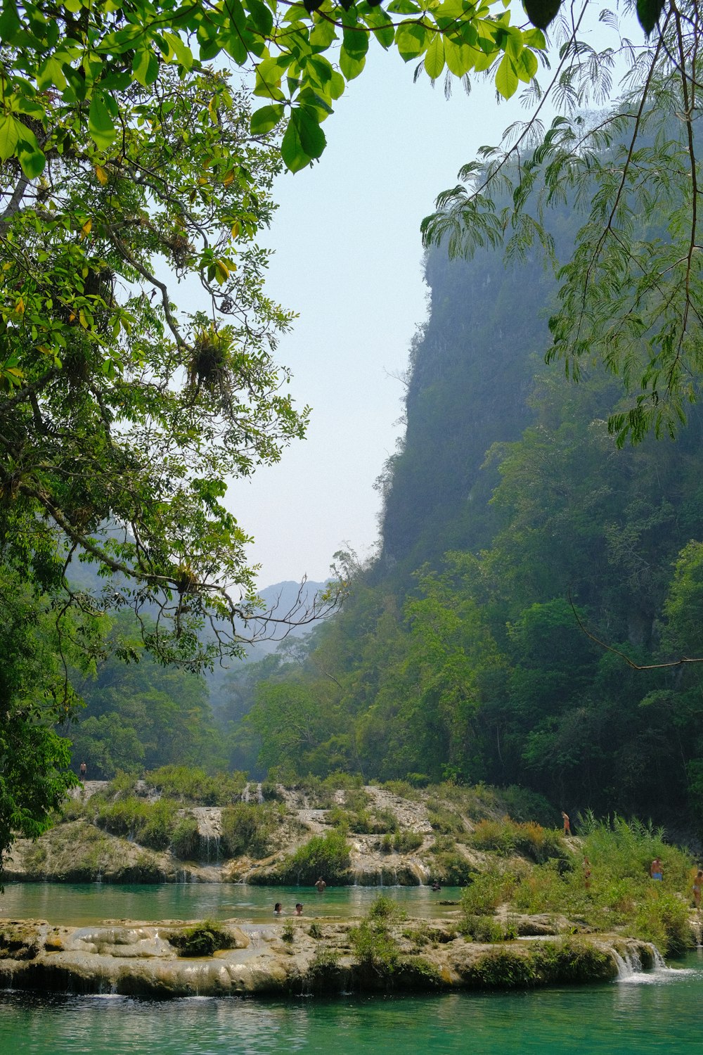 a body of water surrounded by lush green trees