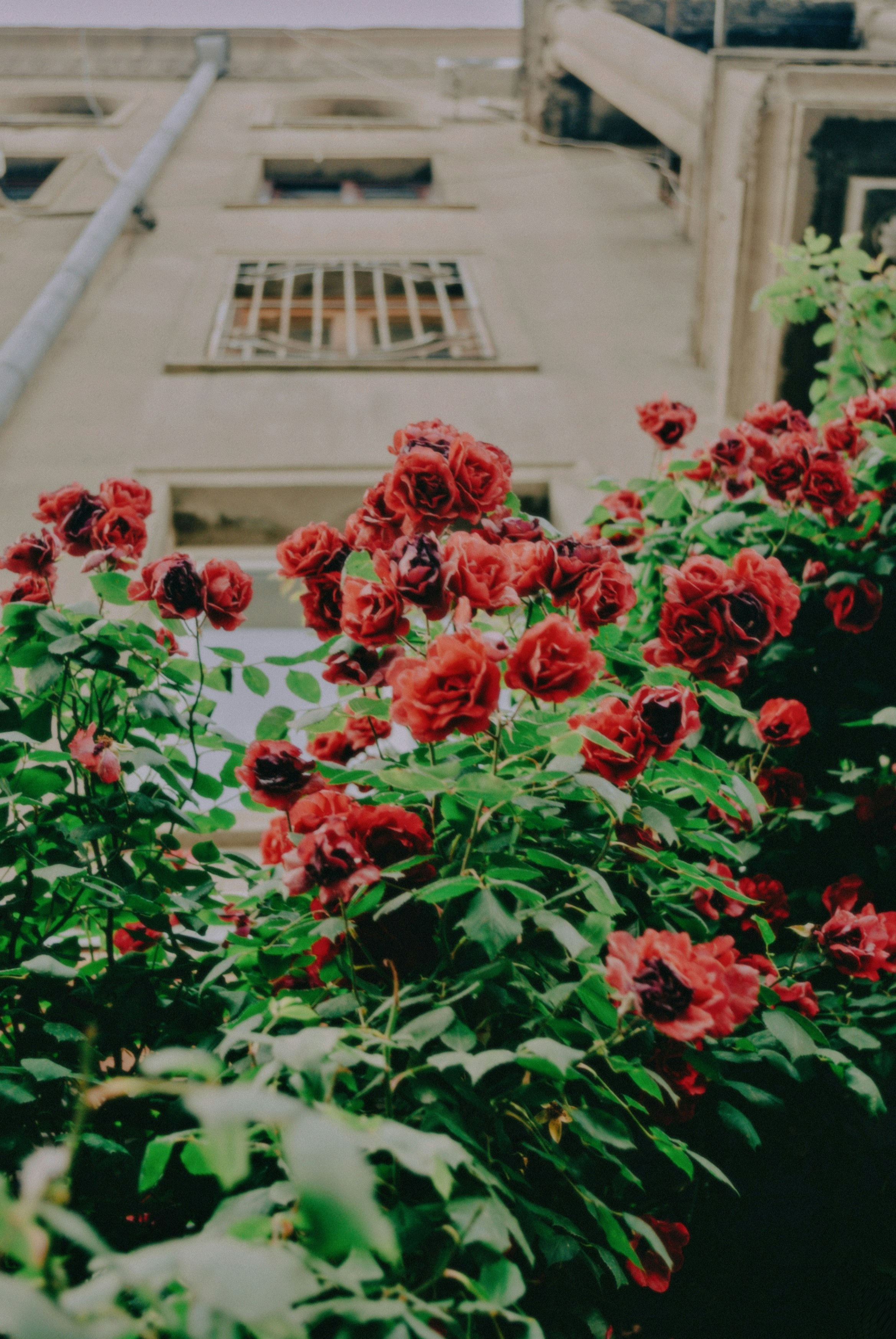 Photo by moonmoons_days