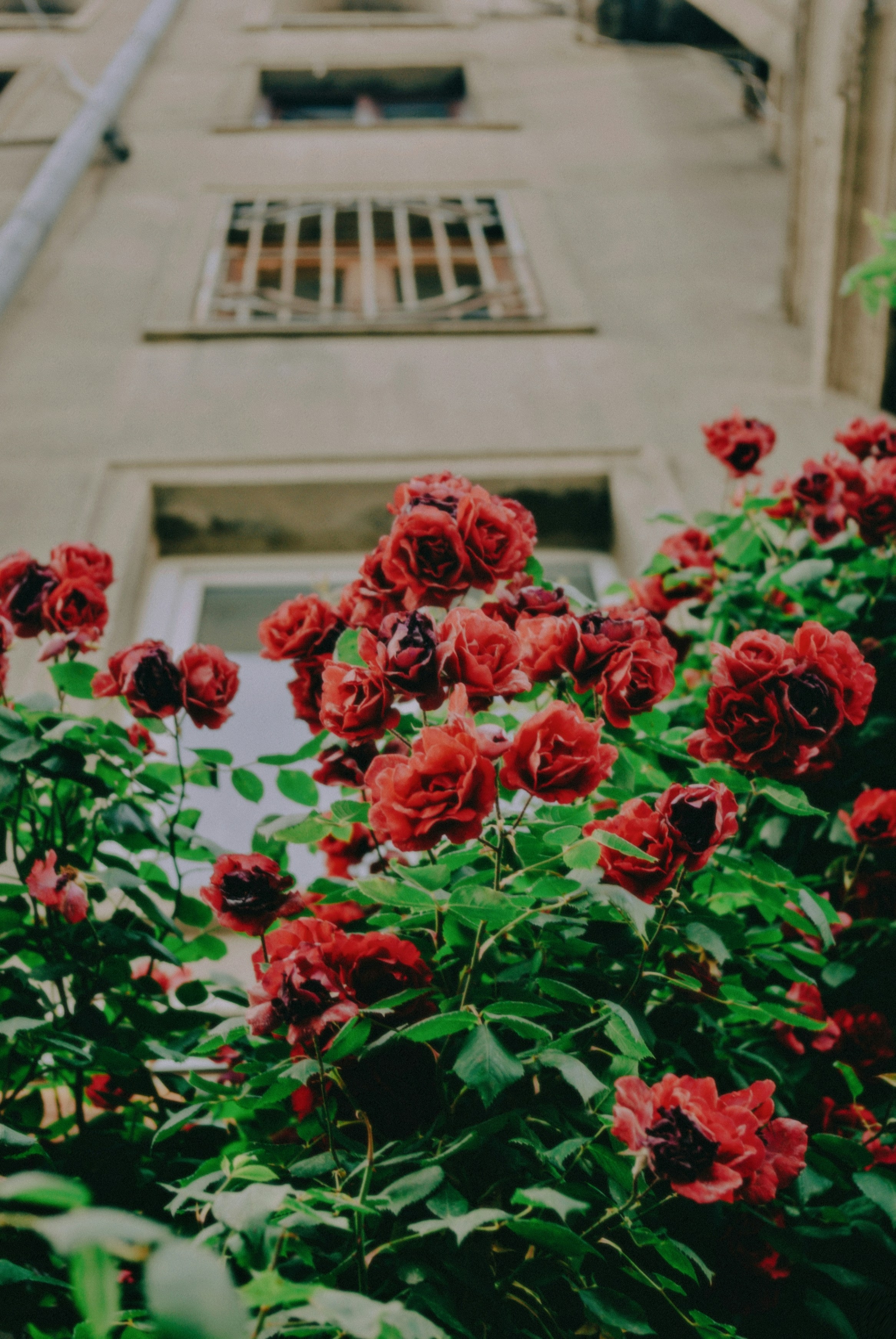 Photo by moonmoons_days