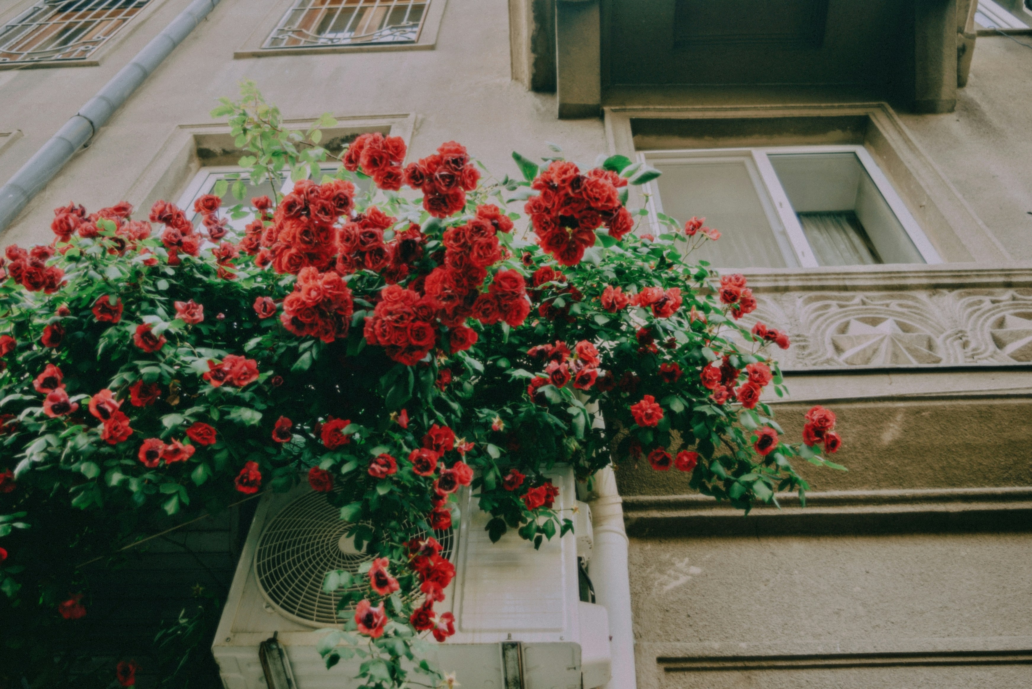 Photo by moonmoons_days