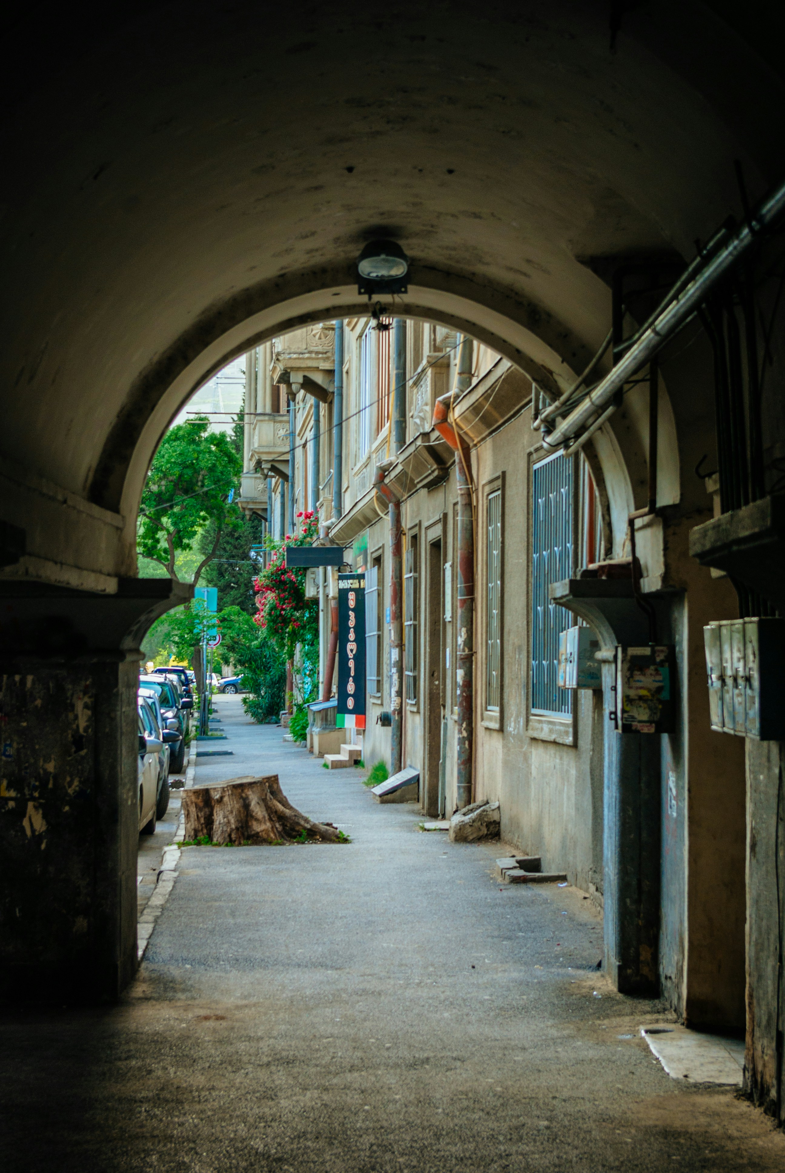 Photo by moonmoons_days