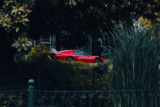 A cozy turtle habitat featuring lush greenery with a sleek red Ferrari F1 car model and a chilled beer bottle nearby.