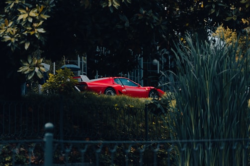 A cozy turtle habitat featuring lush greenery with a sleek red Ferrari F1 car model and a chilled beer bottle nearby.