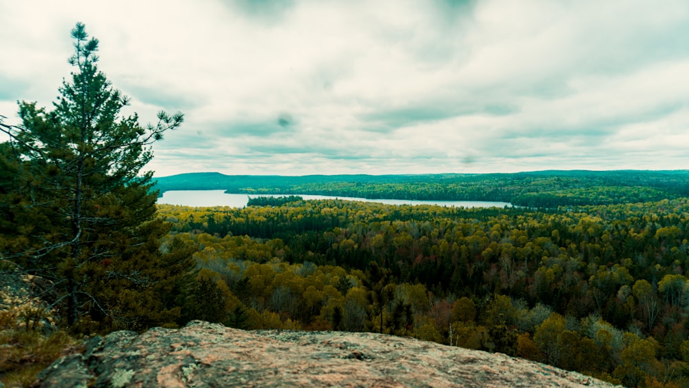 a scenic view of a forest and a lake