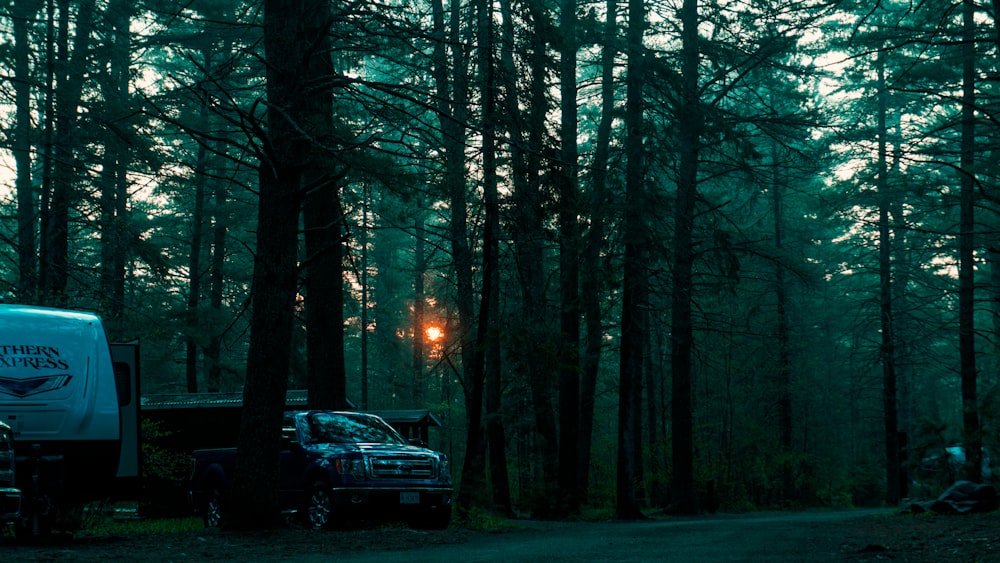 a truck parked in the middle of a forest