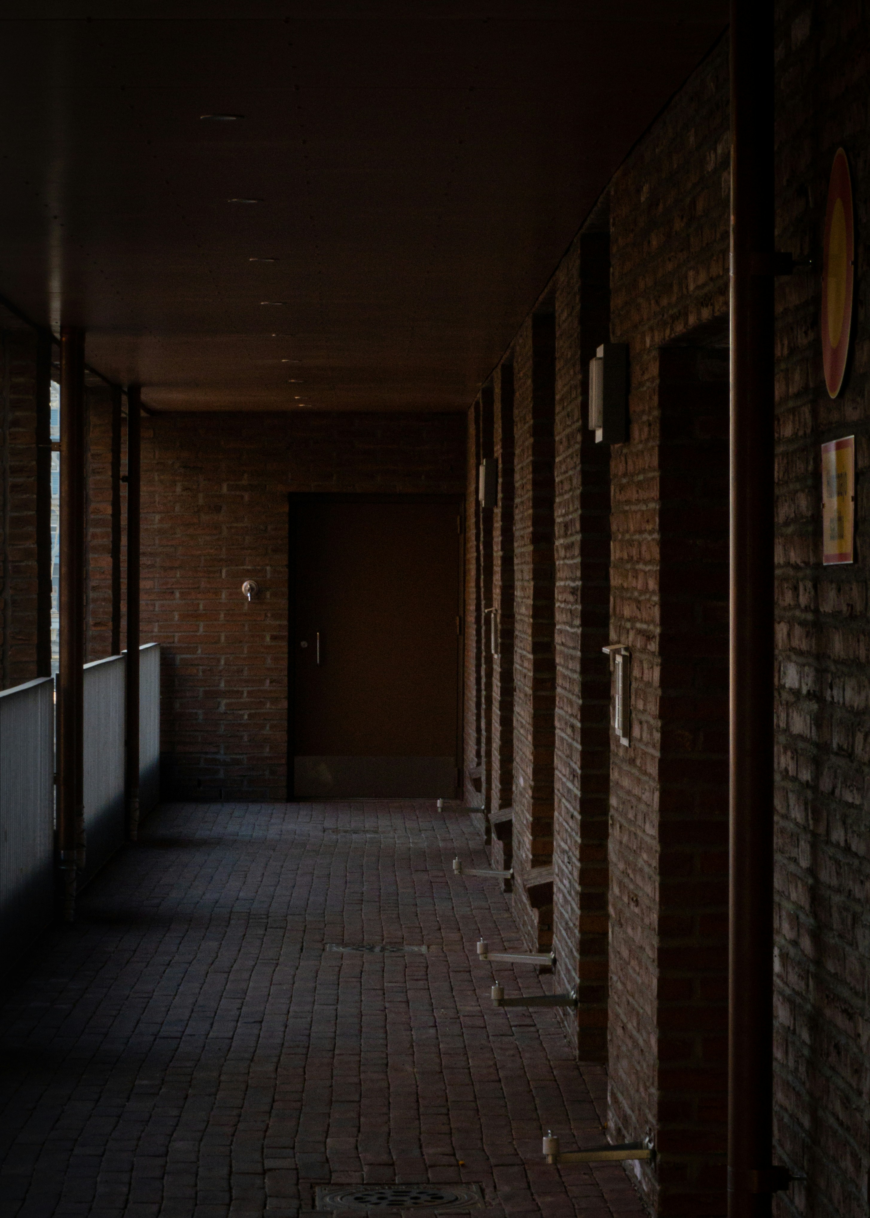 Photo by janifreelancing