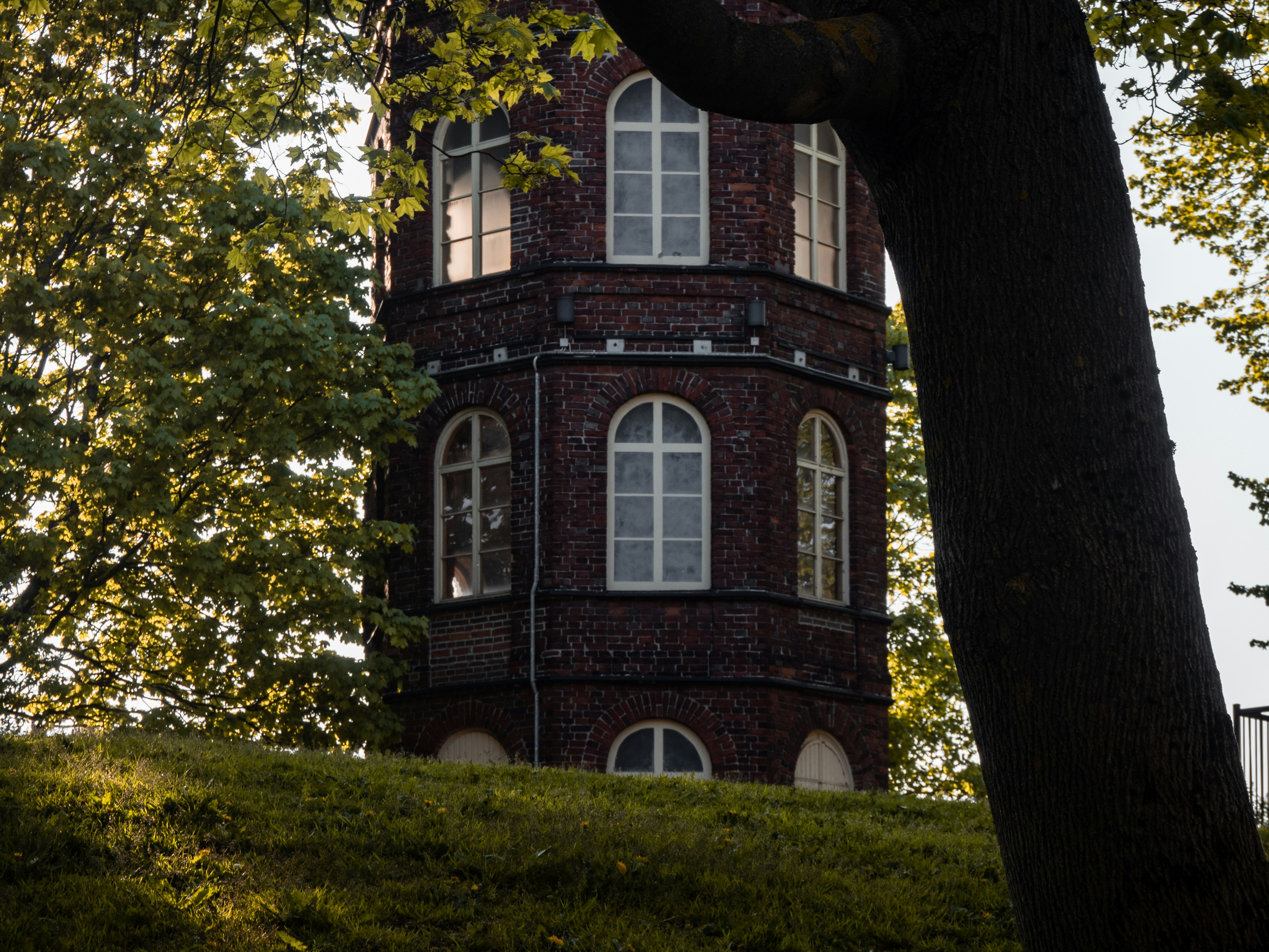 Photo by janifreelancing