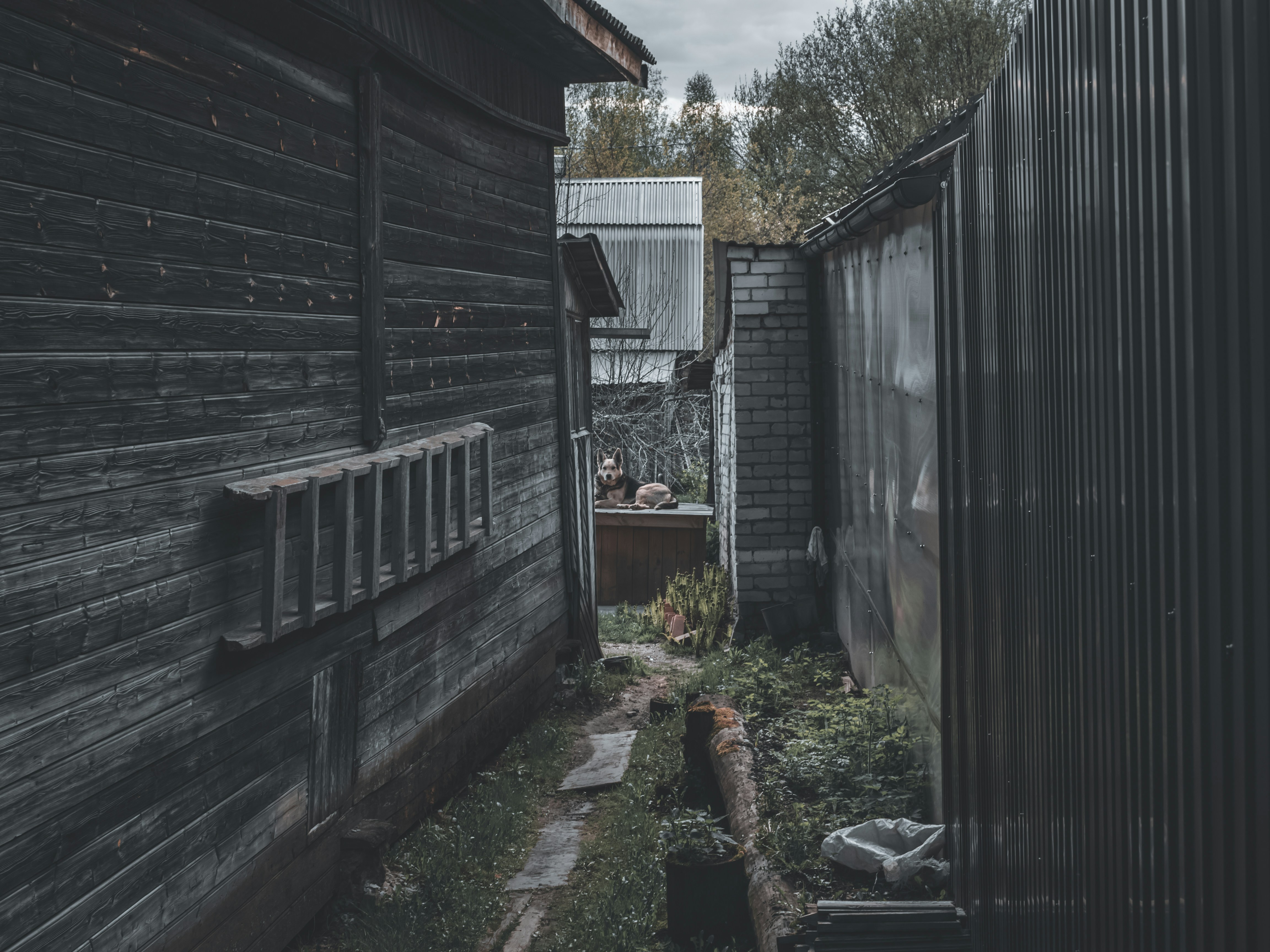 Rootsi kodude käsitöölik hoolitsus