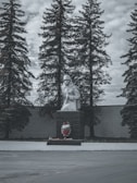 A soldier statue stands on a black pedestal adorned with a wreath and flowers. Behind the statue, tall evergreen trees are set against a cloudy sky, giving a somber atmosphere to the scene.