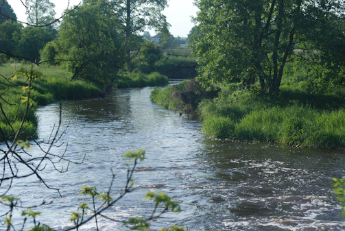 A serene river flowing gently through a lush floodplain at sunrise, highlighting natural water management.