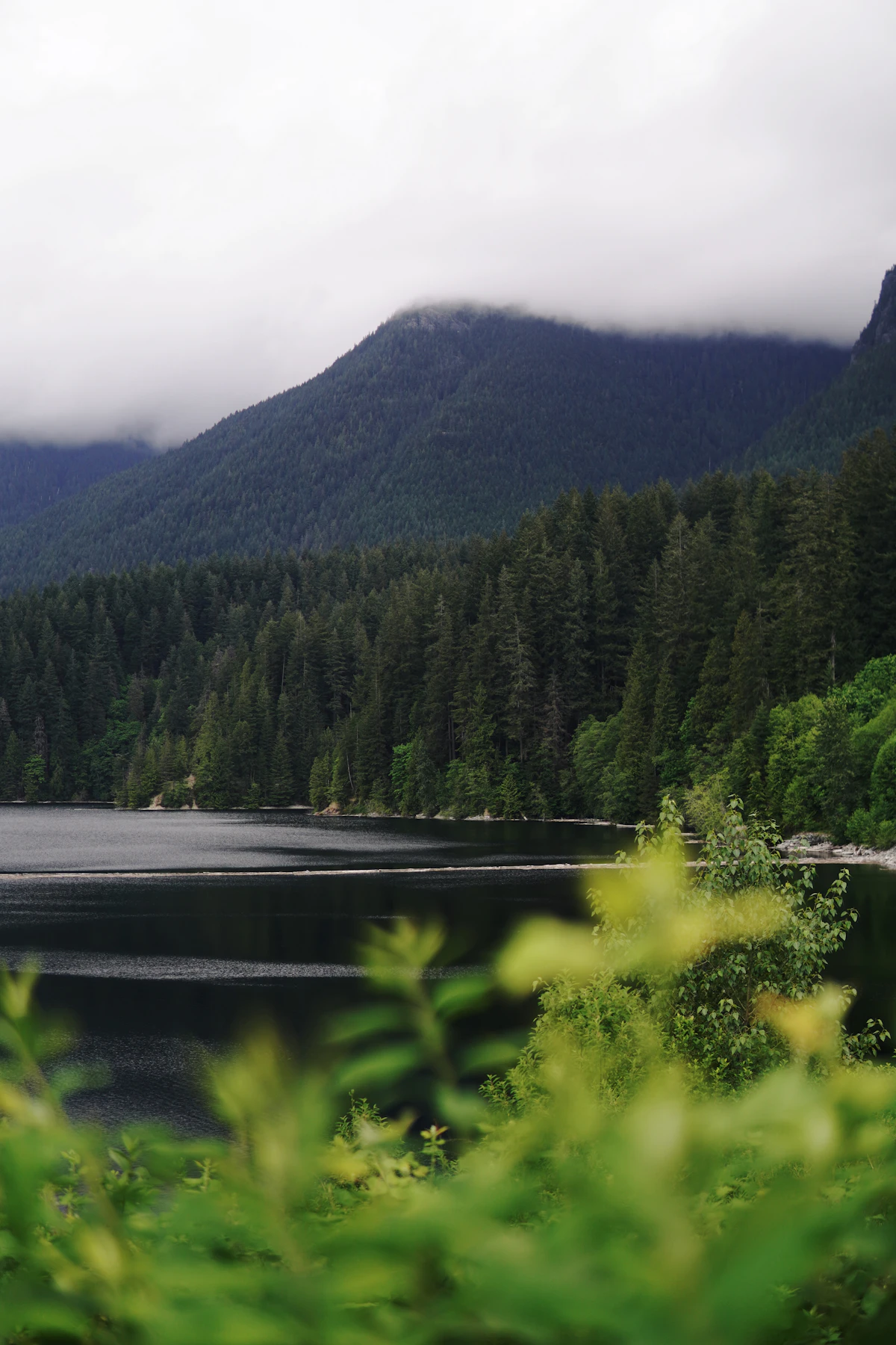 A forested mountain lake under low cloud with dense evergreens running down to still water in coastal British Columbia