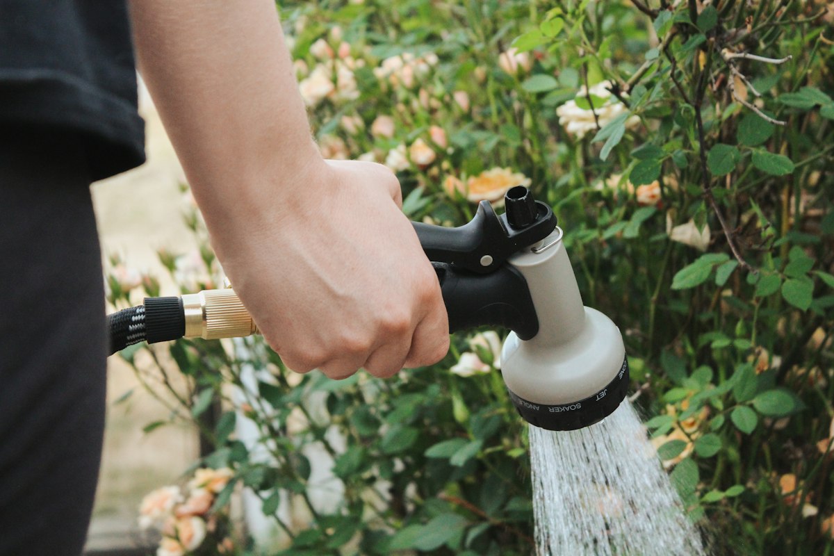 Sistema de Irrigação para Jardim: O Que Considerar ao Projetar Áreas Verdes Residenciais