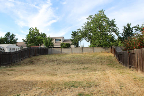 Plain, undeveloped backyard before landscape design