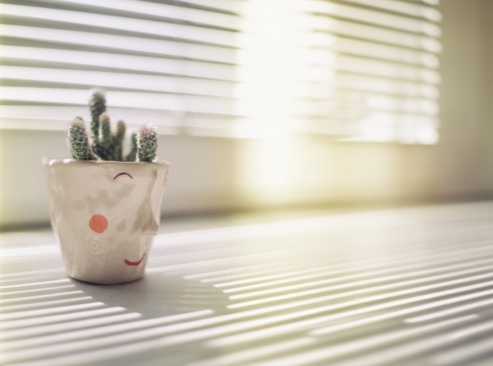 a small potted plant sitting on top of a table