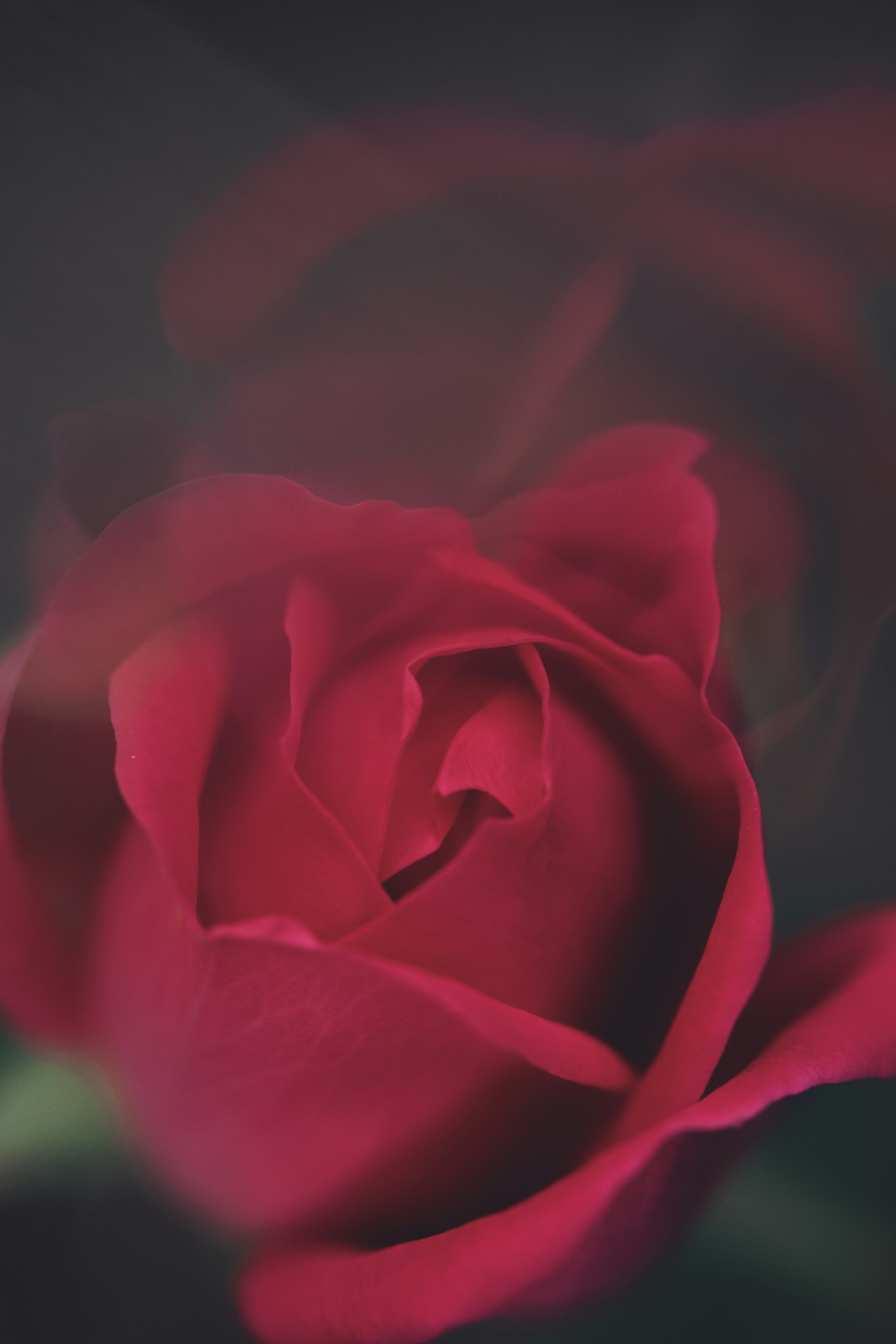 Photo by ashleybealphoto