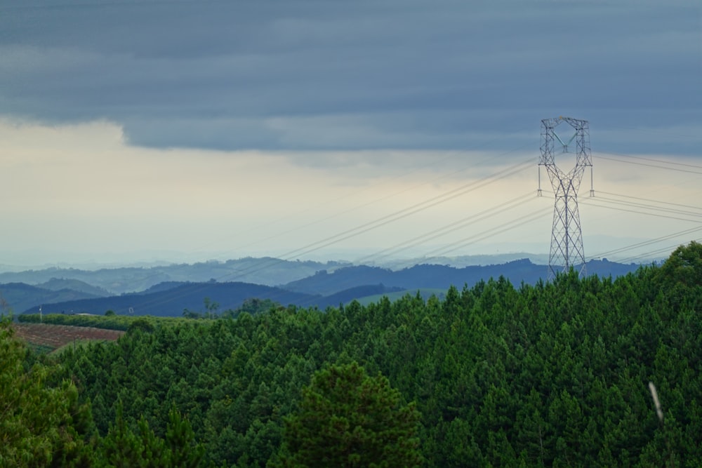 a power line in the middle of a forest