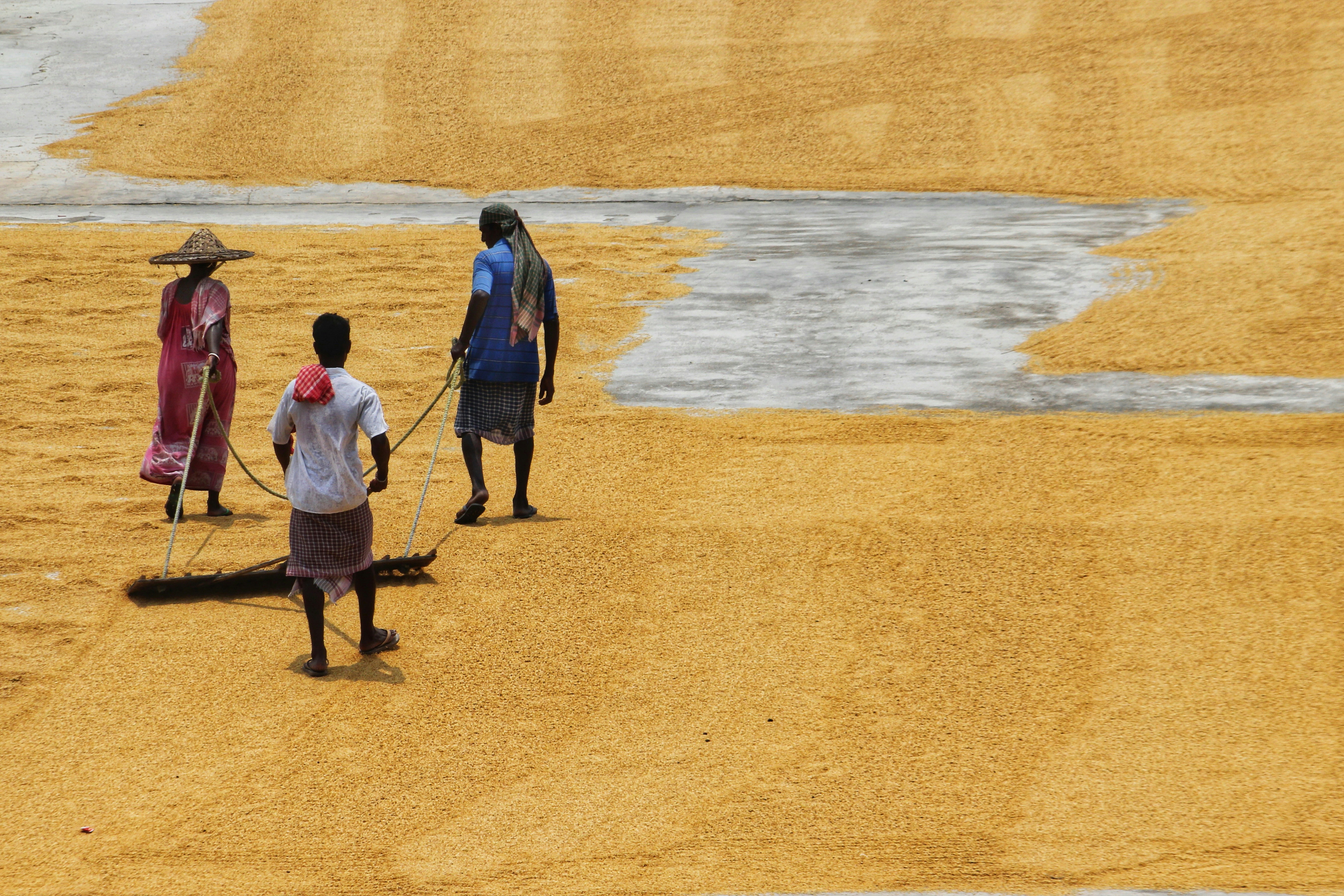 Photo by dibakar16roy