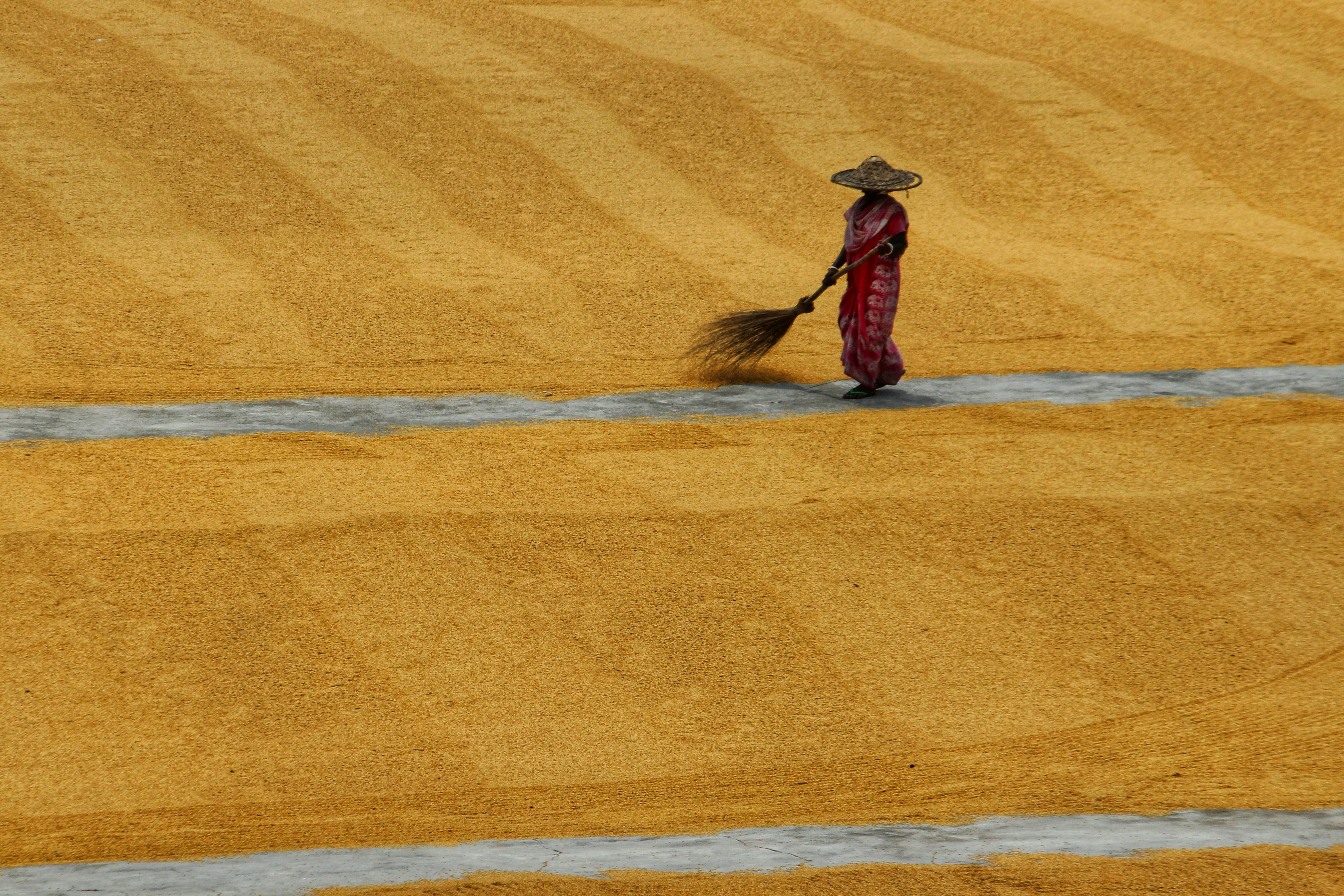 Photo by dibakar16roy