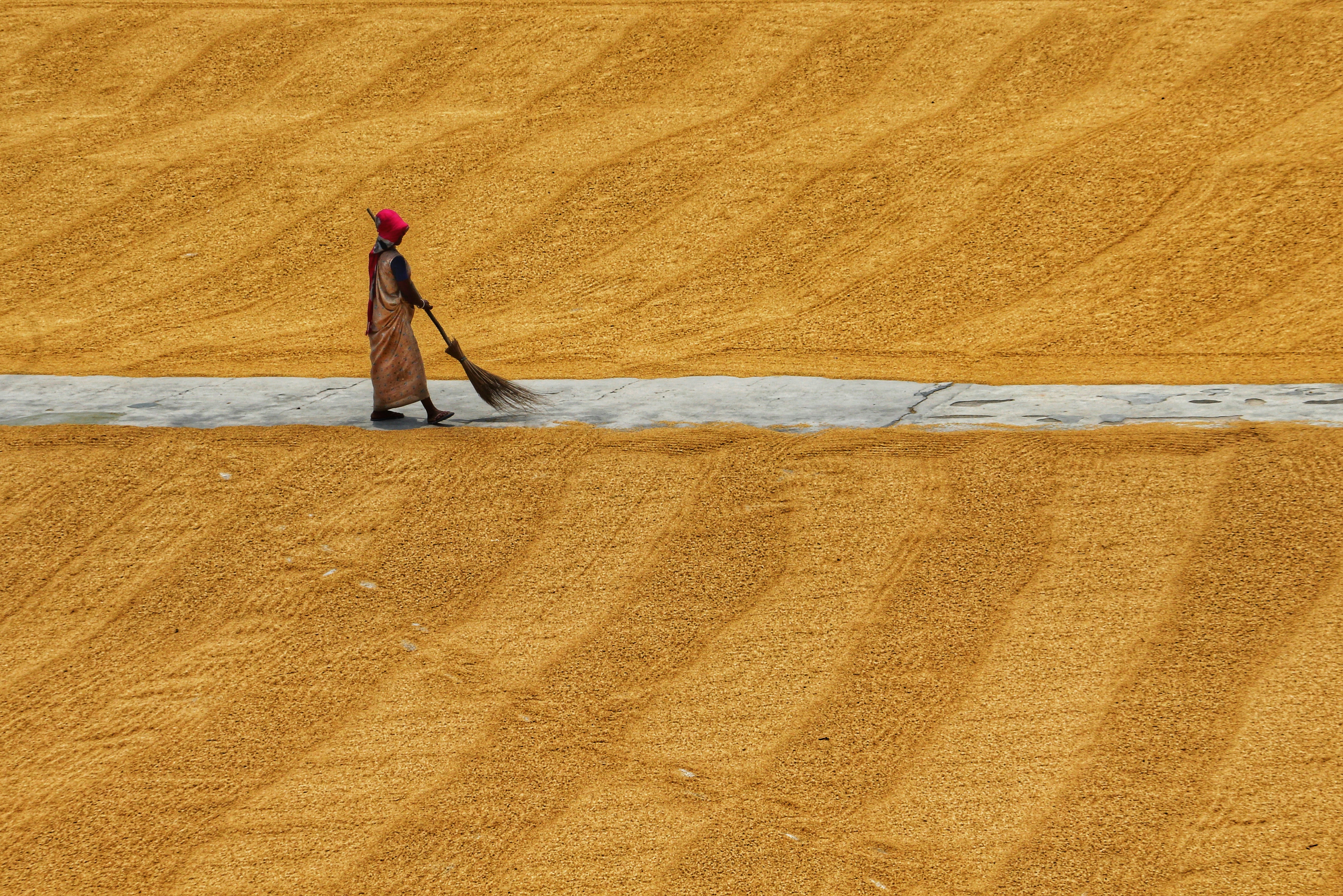 Photo by dibakar16roy