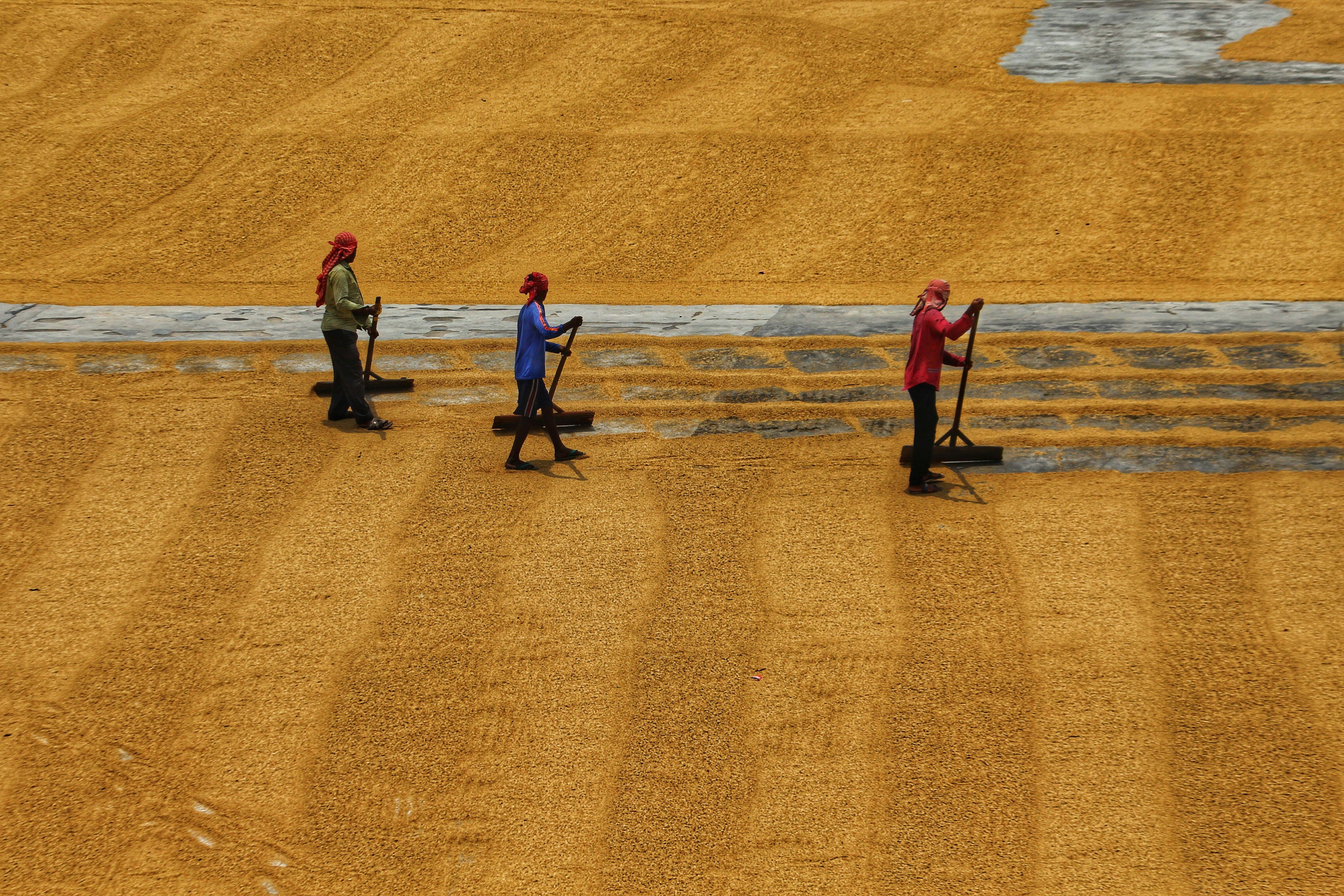 Agriculture tech team on dirt field