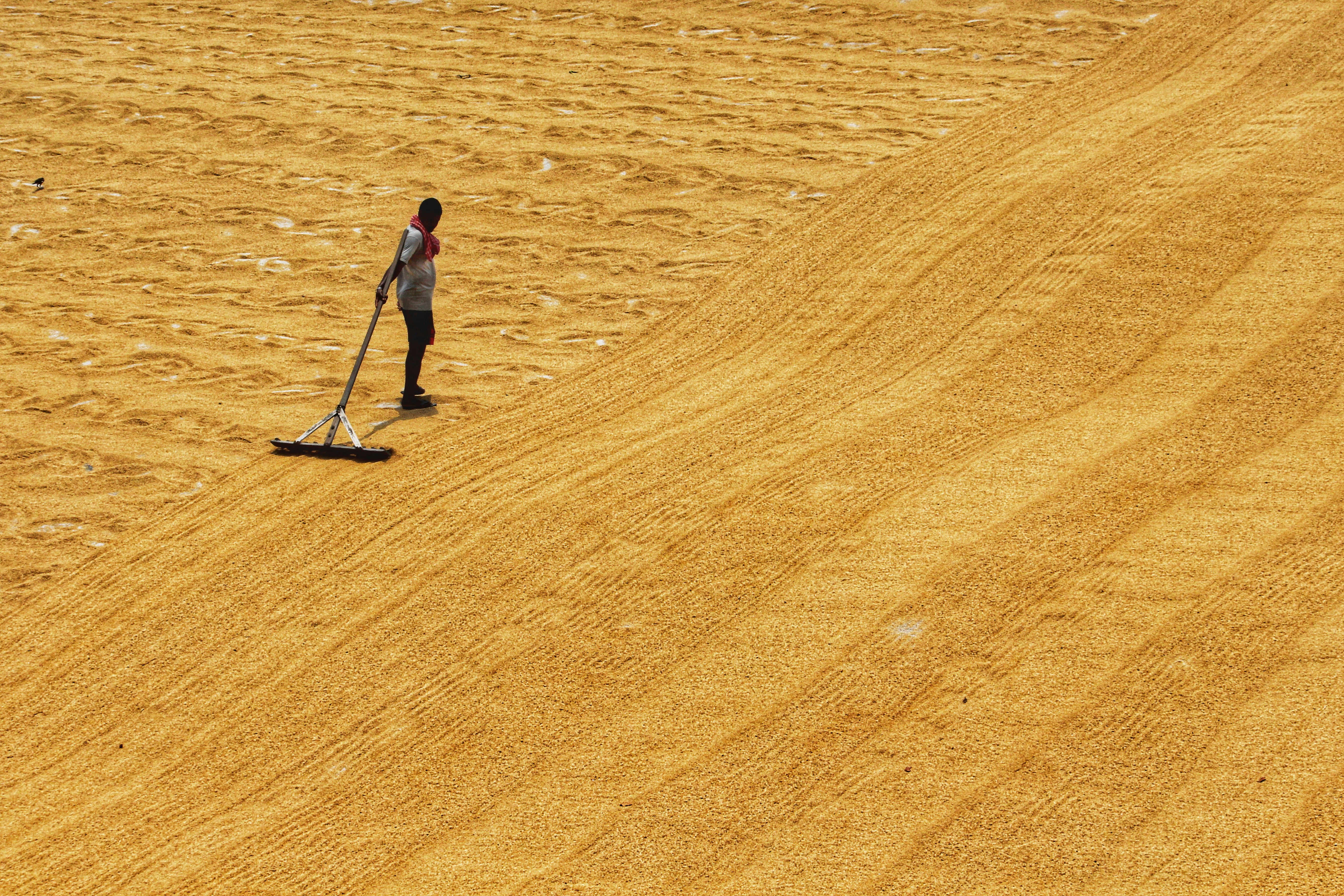 Photo by dibakar16roy