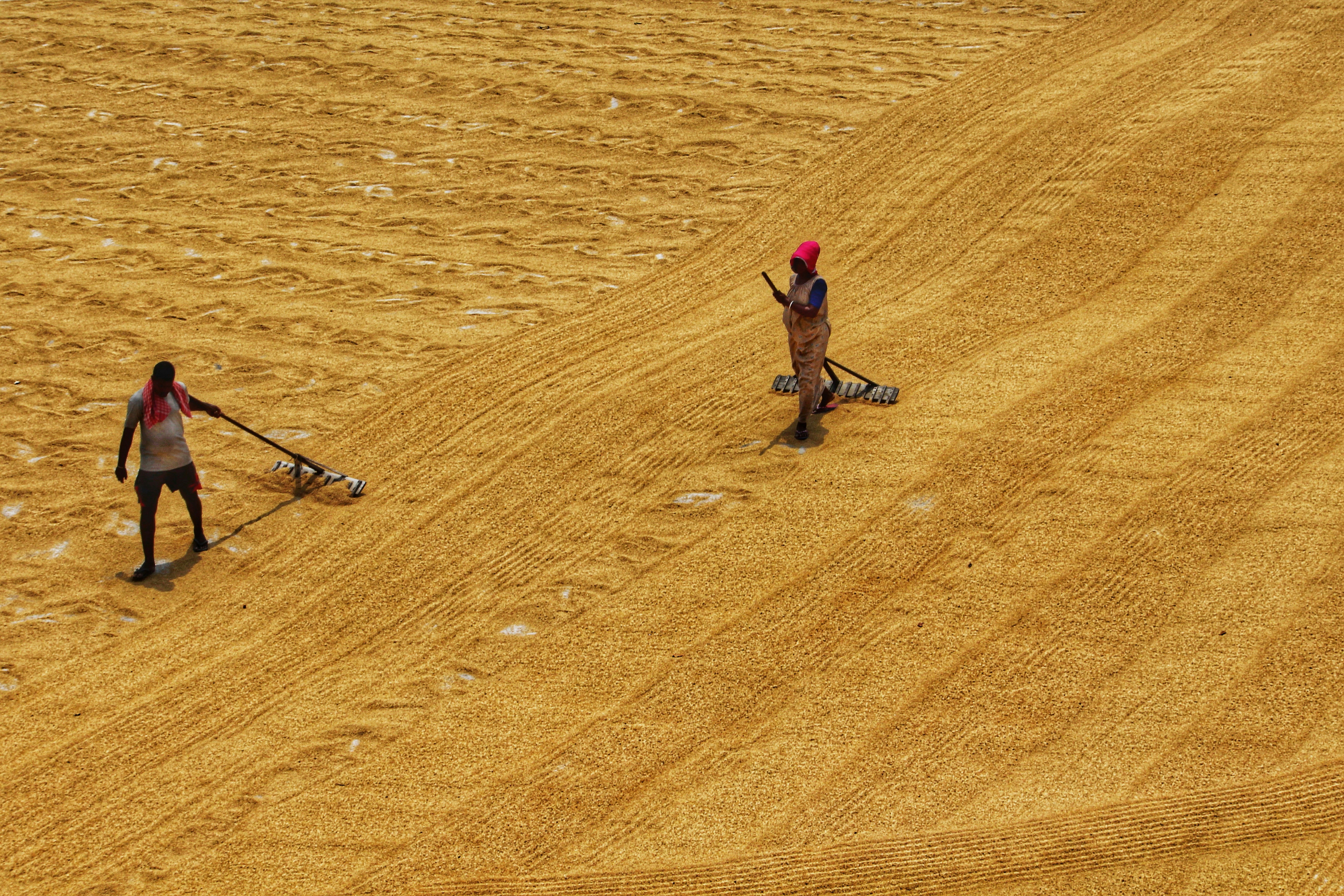 Photo by dibakar16roy