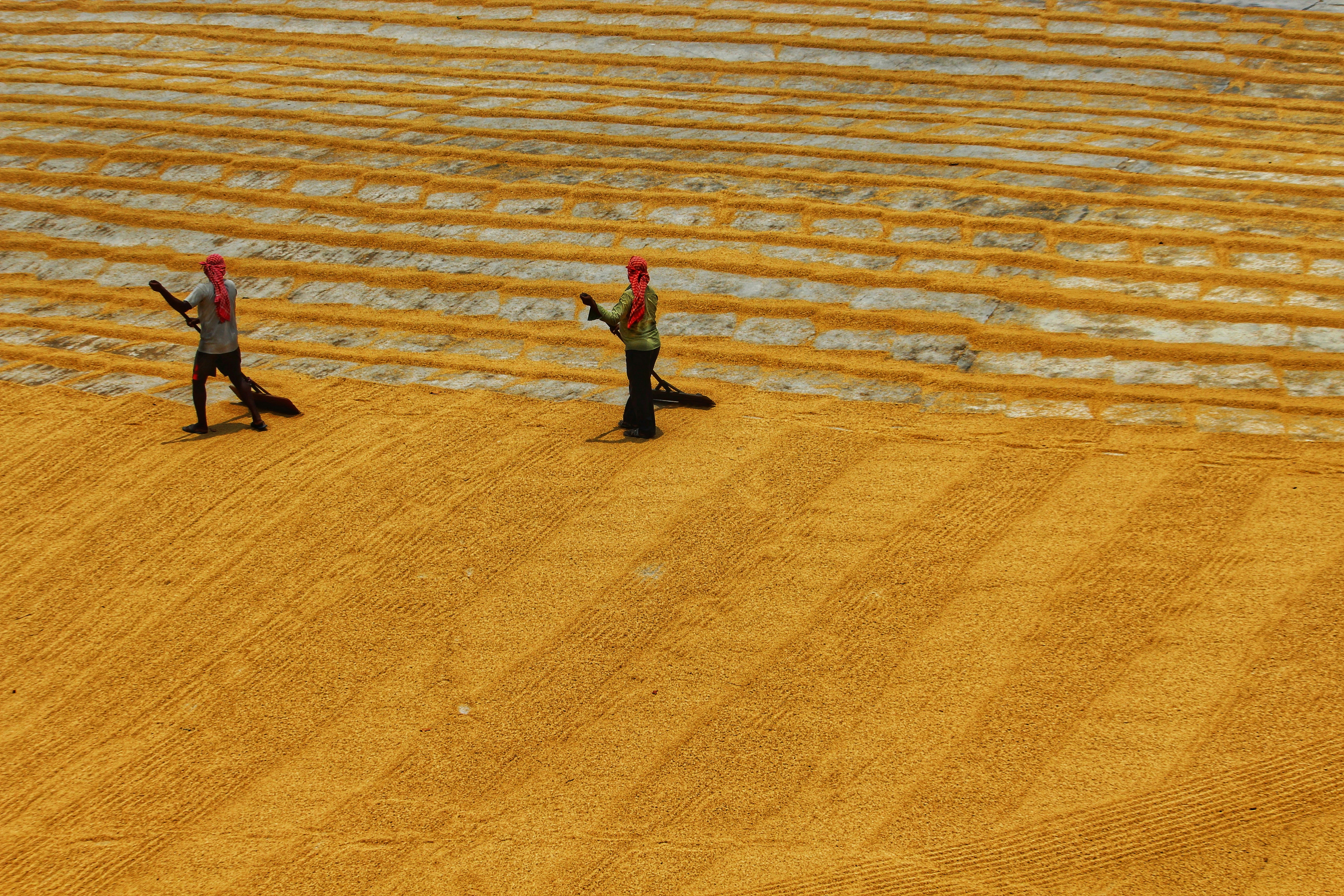 Photo by dibakar16roy