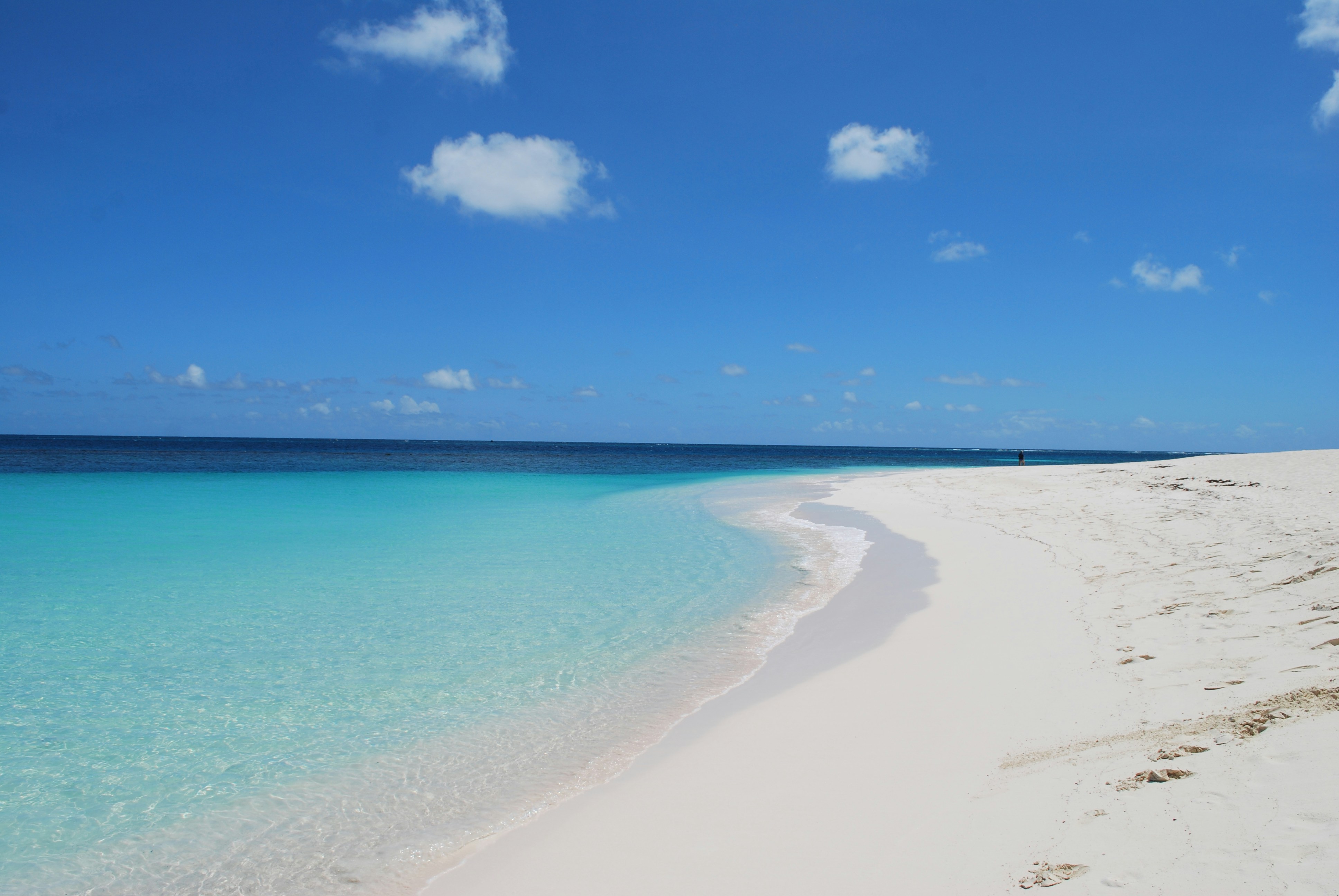 Photo by brendan_verano