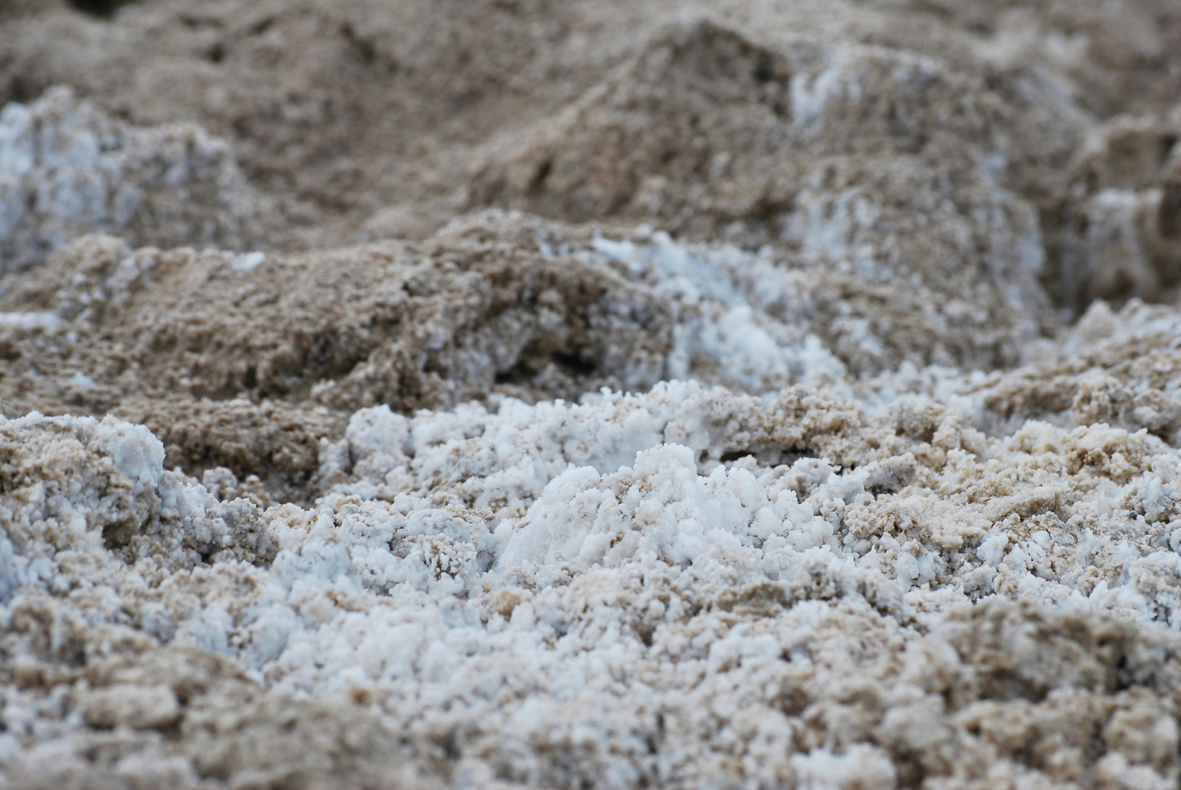 Photo by brendan_verano