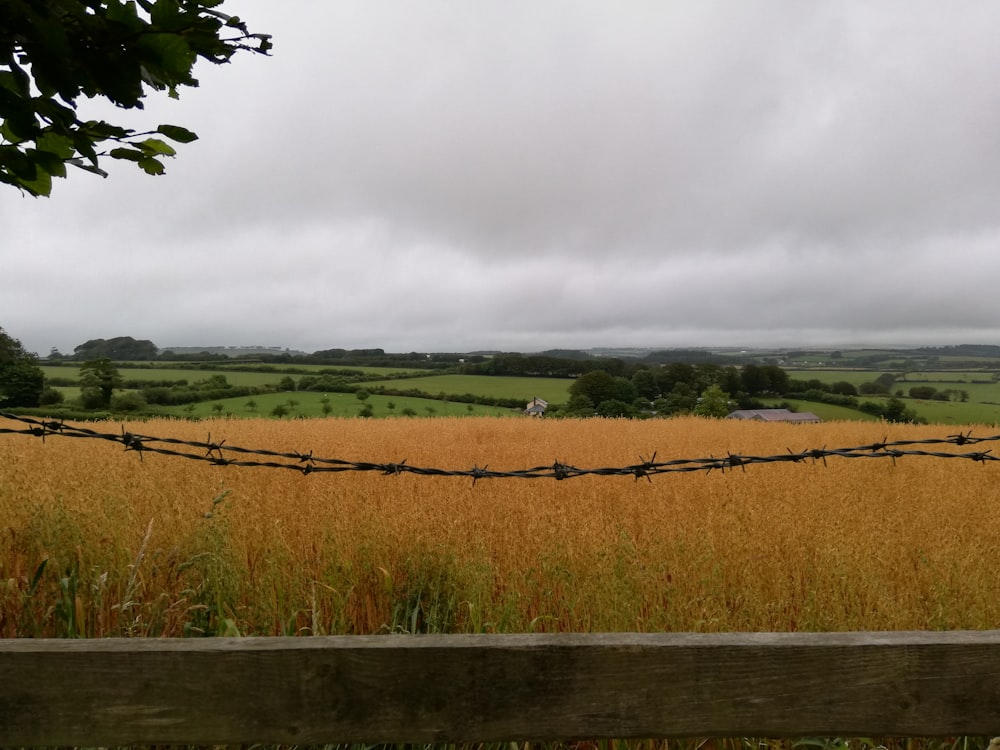 a field with a barbed wire fence in the foreground