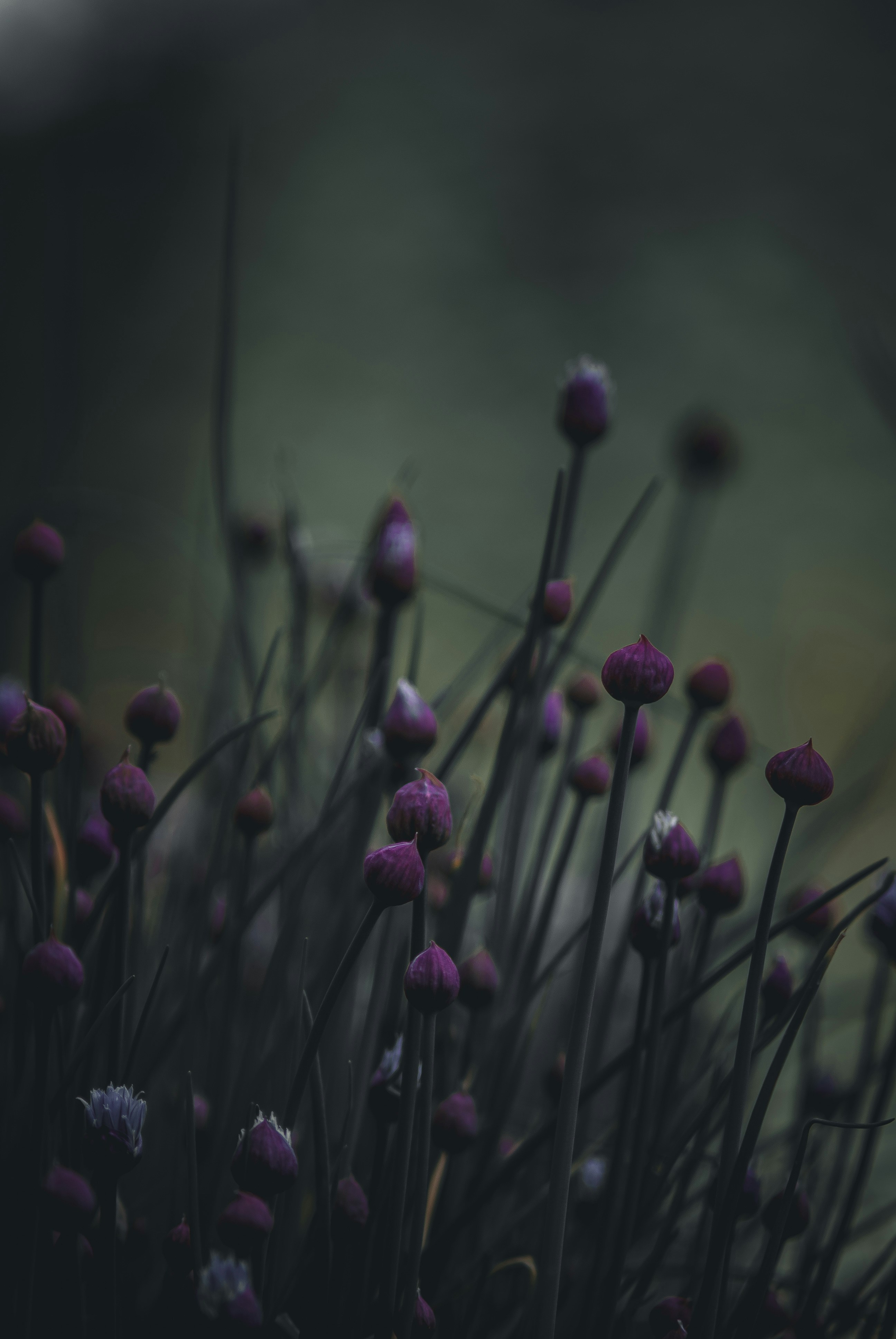 Photo by 3467634mikolaj