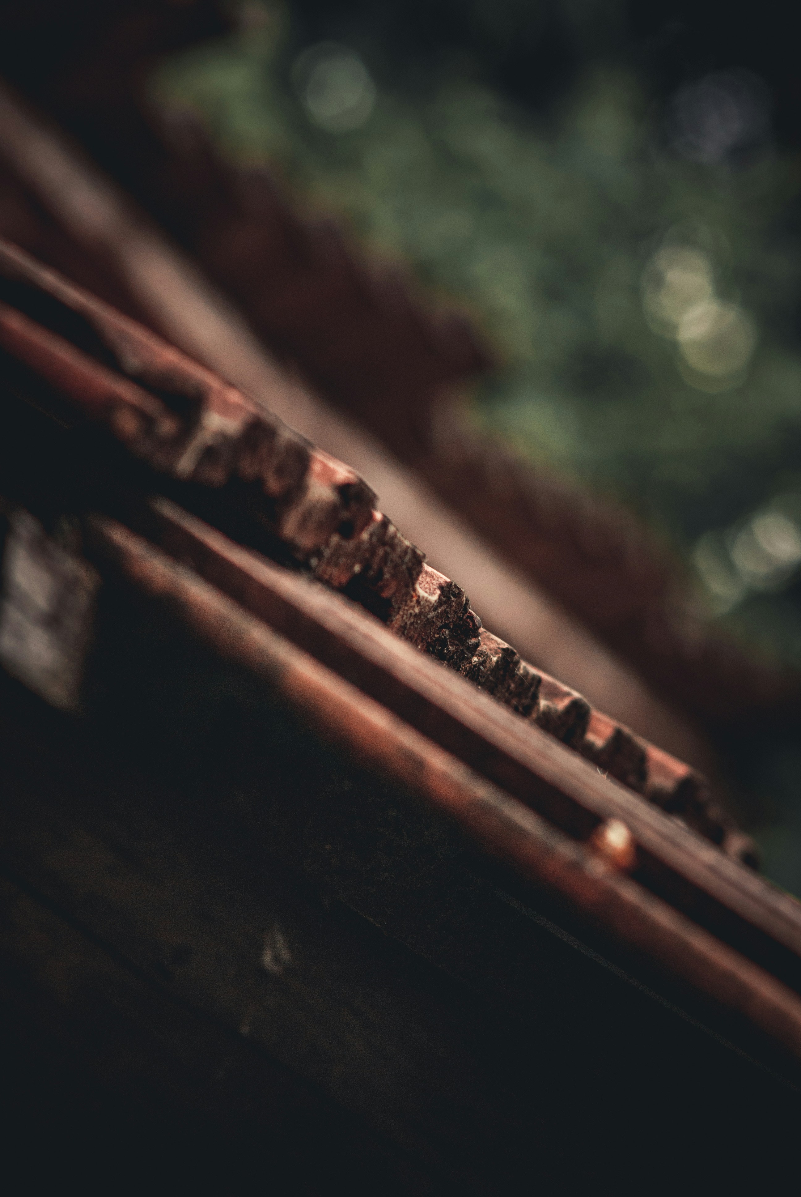 Photo by 3467634mikolaj