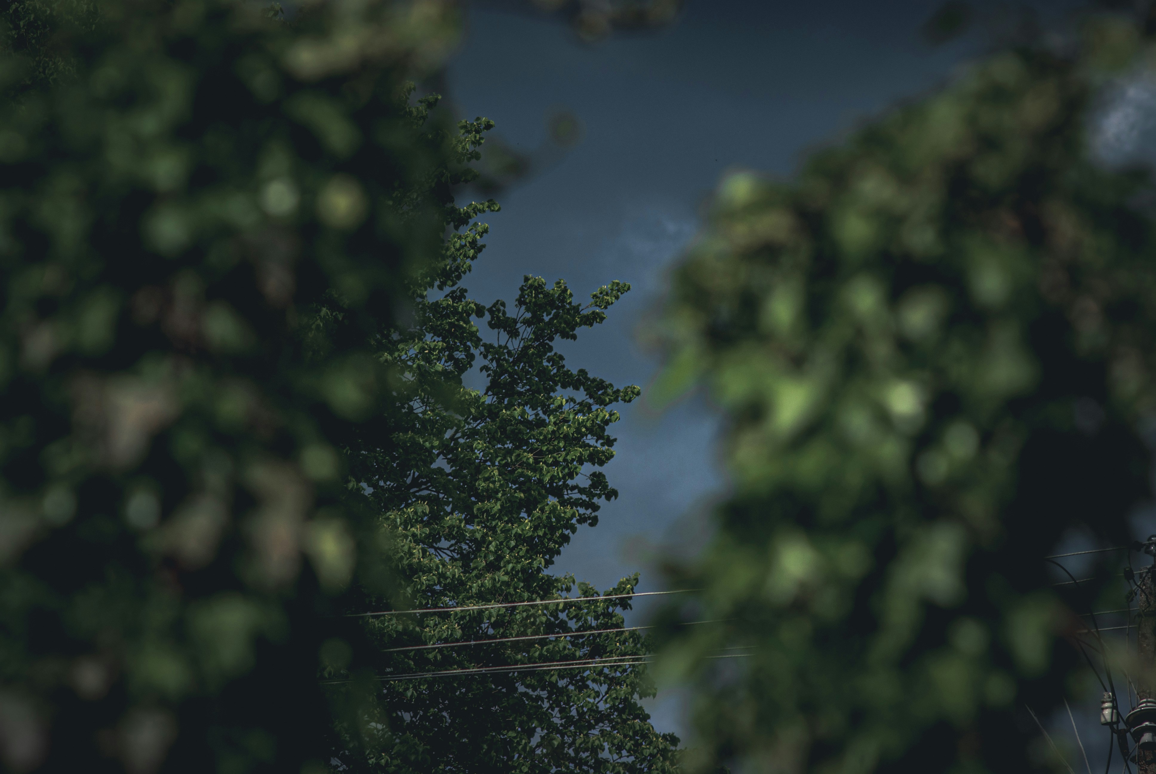 Photo by 3467634mikolaj