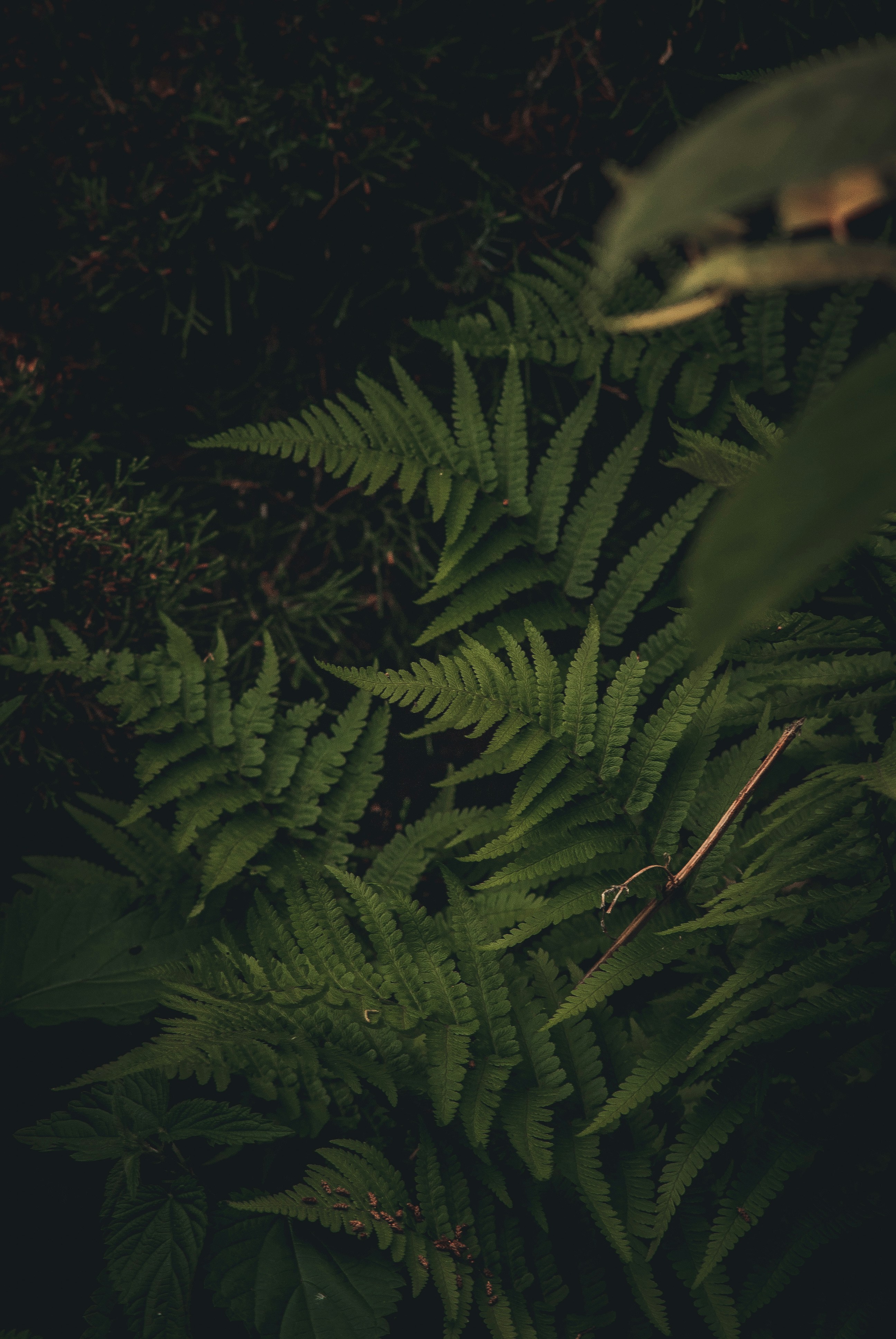 Photo by 3467634mikolaj