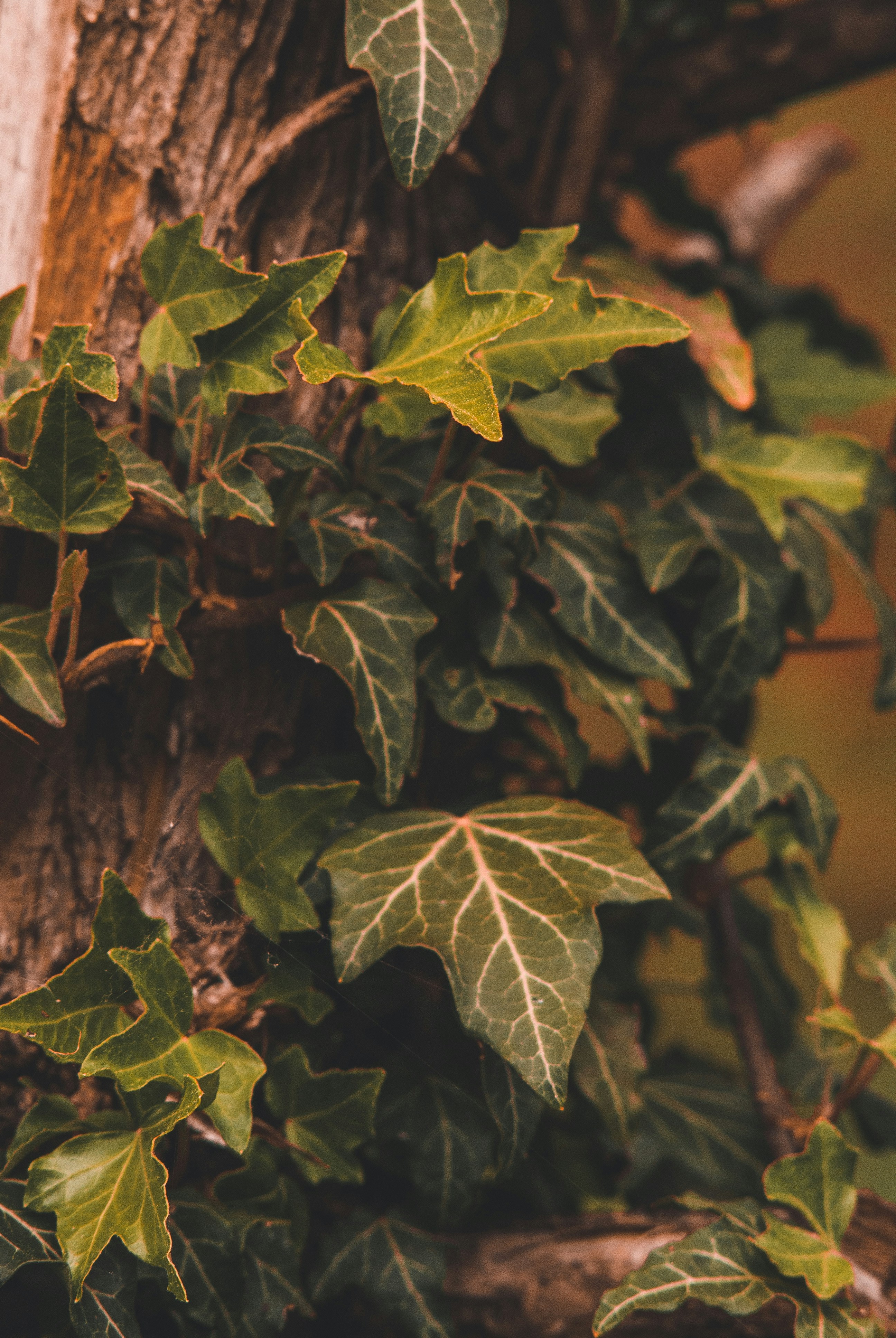 Photo by 3467634mikolaj