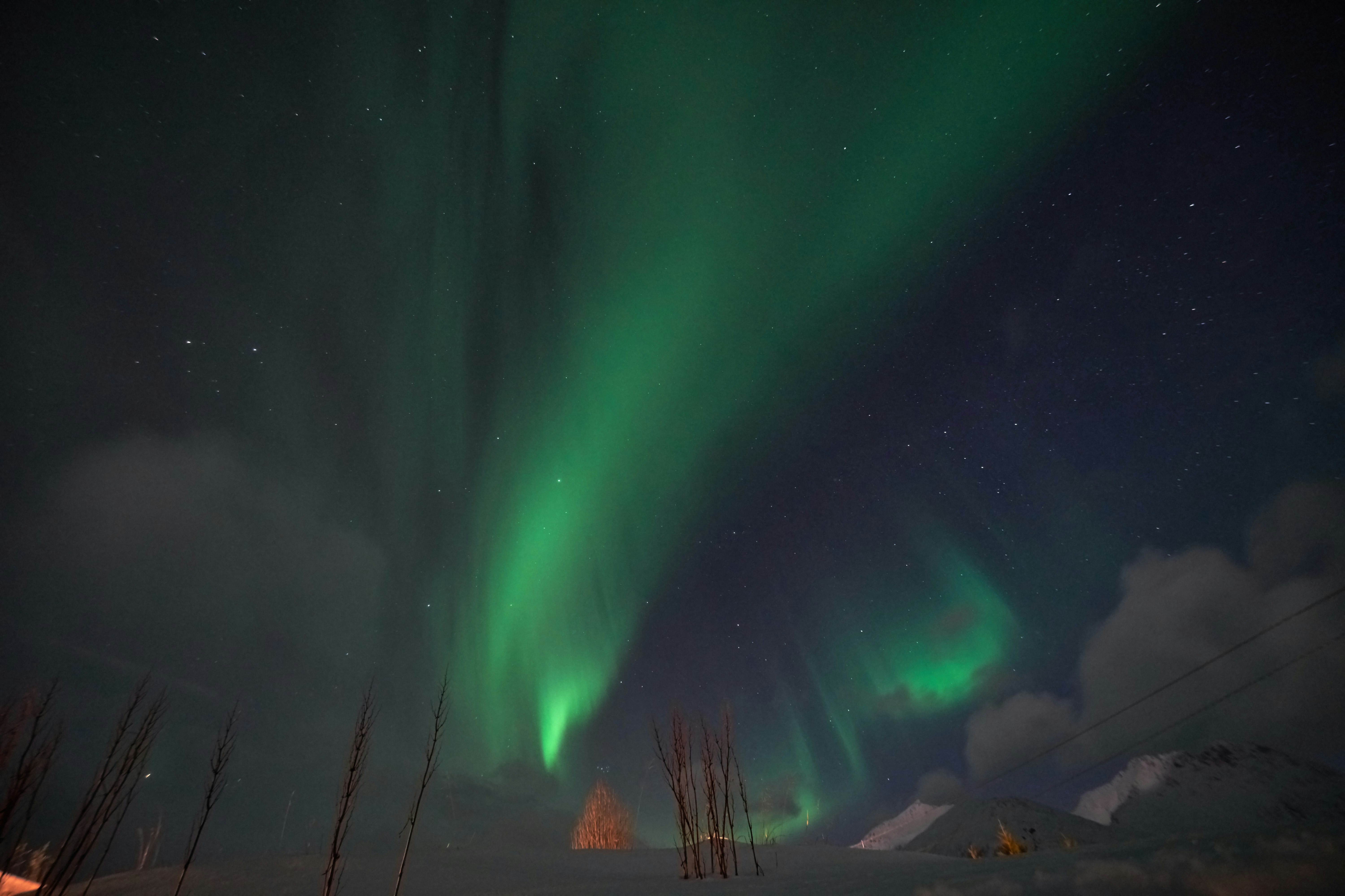 Green aurora bore in the night sky