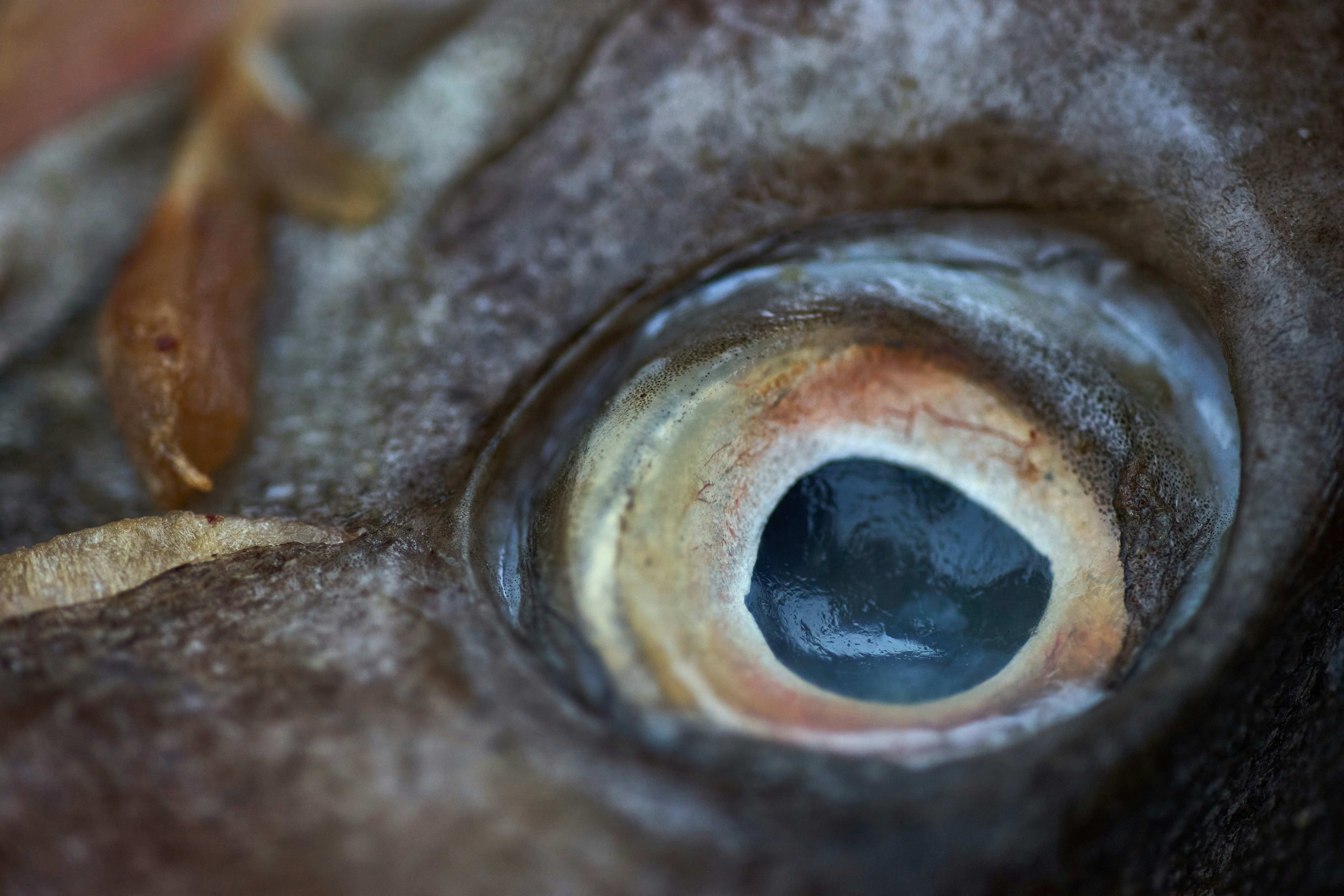 미래를 코딩하다: 우리 아이, 디지털 세상의 주인공으로 키우는 법