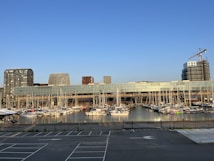 A marina filled with numerous boats is situated in front of modern high-rise buildings. The buildings have a glassy appearance, reflecting the sunlight, and a construction crane is visible on the right side, indicating ongoing development. The sky is clear and blue, creating a serene atmosphere.