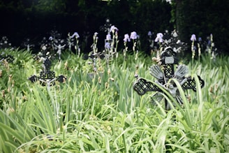 A lush garden with tall green grass and flowering plants, interspersed with dark, ornate crosses and angel statues. Delicate purple flowers rise amidst the greenery, and the background is shaded by dense foliage.