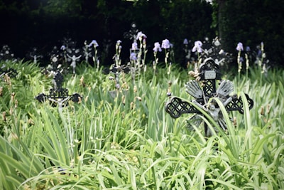 Close-up of a beautifully decorated grave plot surrounded by fragrant plants.