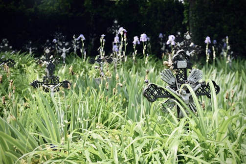 A lush garden with tall green grass and flowering plants, interspersed with dark, ornate crosses and angel statues. Delicate purple flowers rise amidst the greenery, and the background is shaded by dense foliage.