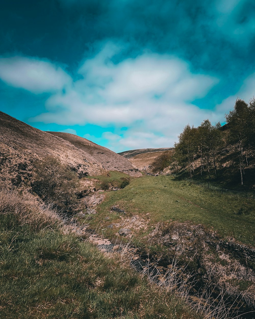 a grassy field with trees on the side of it