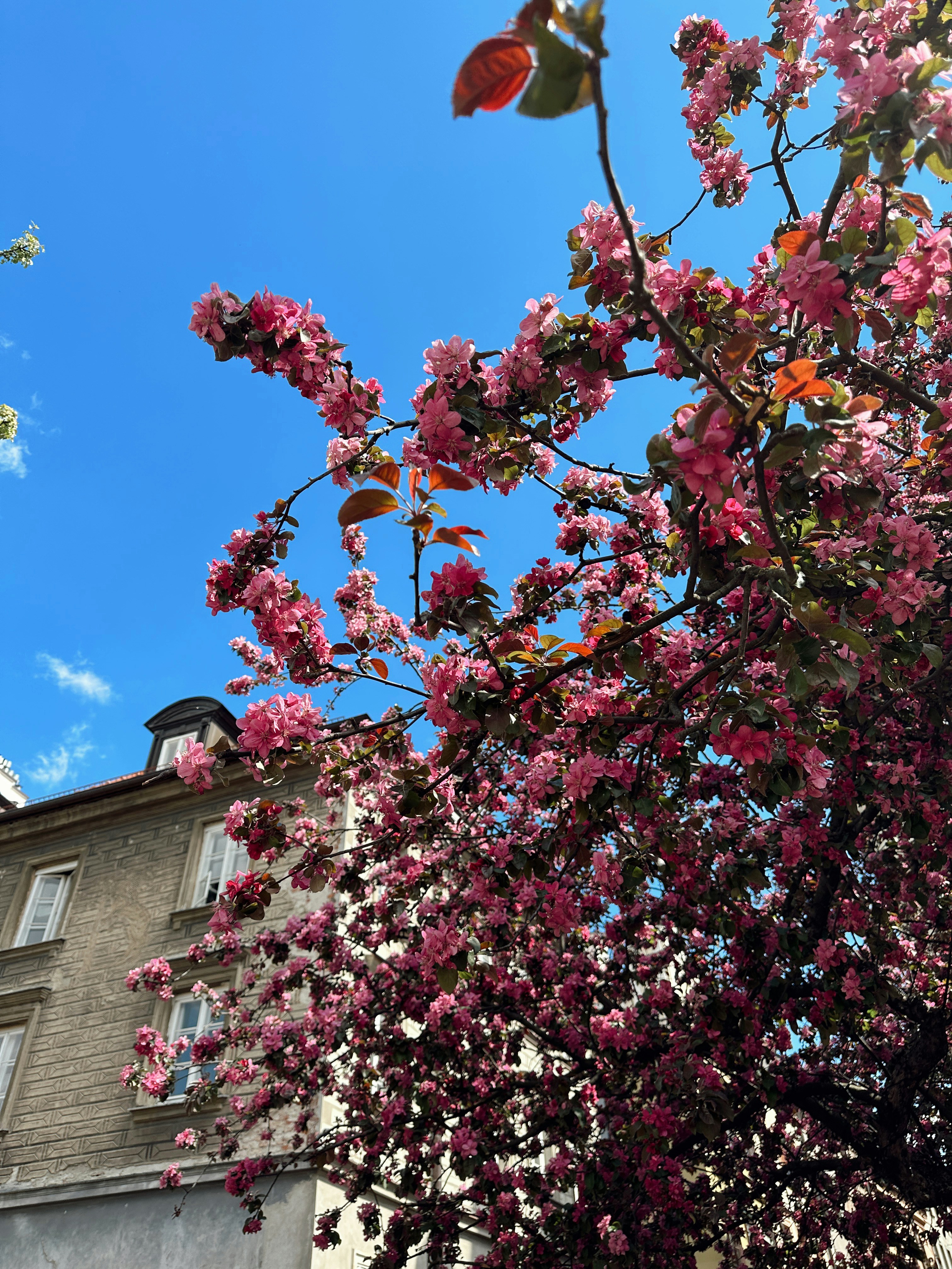 Photo by btaskiranoglu